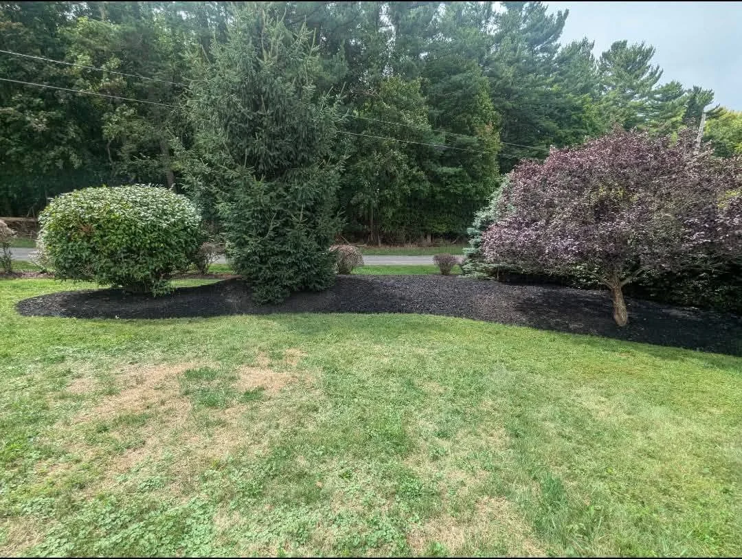 Well-maintained front yard with landscaped bushes and small trees, featuring dark mulch bed and lush green grass, with a street and trees in the background.