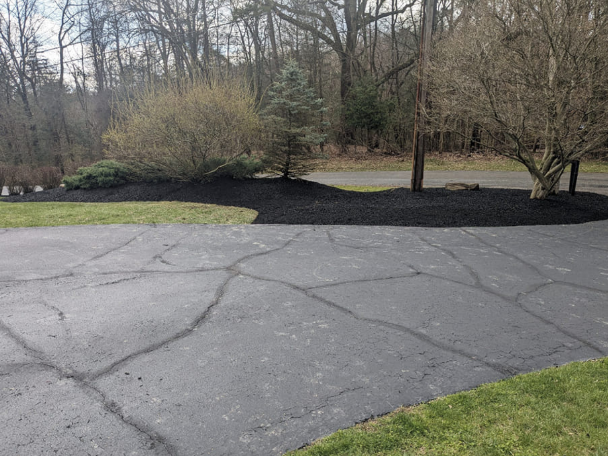 A cracked asphalt driveway with a patch of green grass on the right and a landscaped area with bushes and trees in the background.