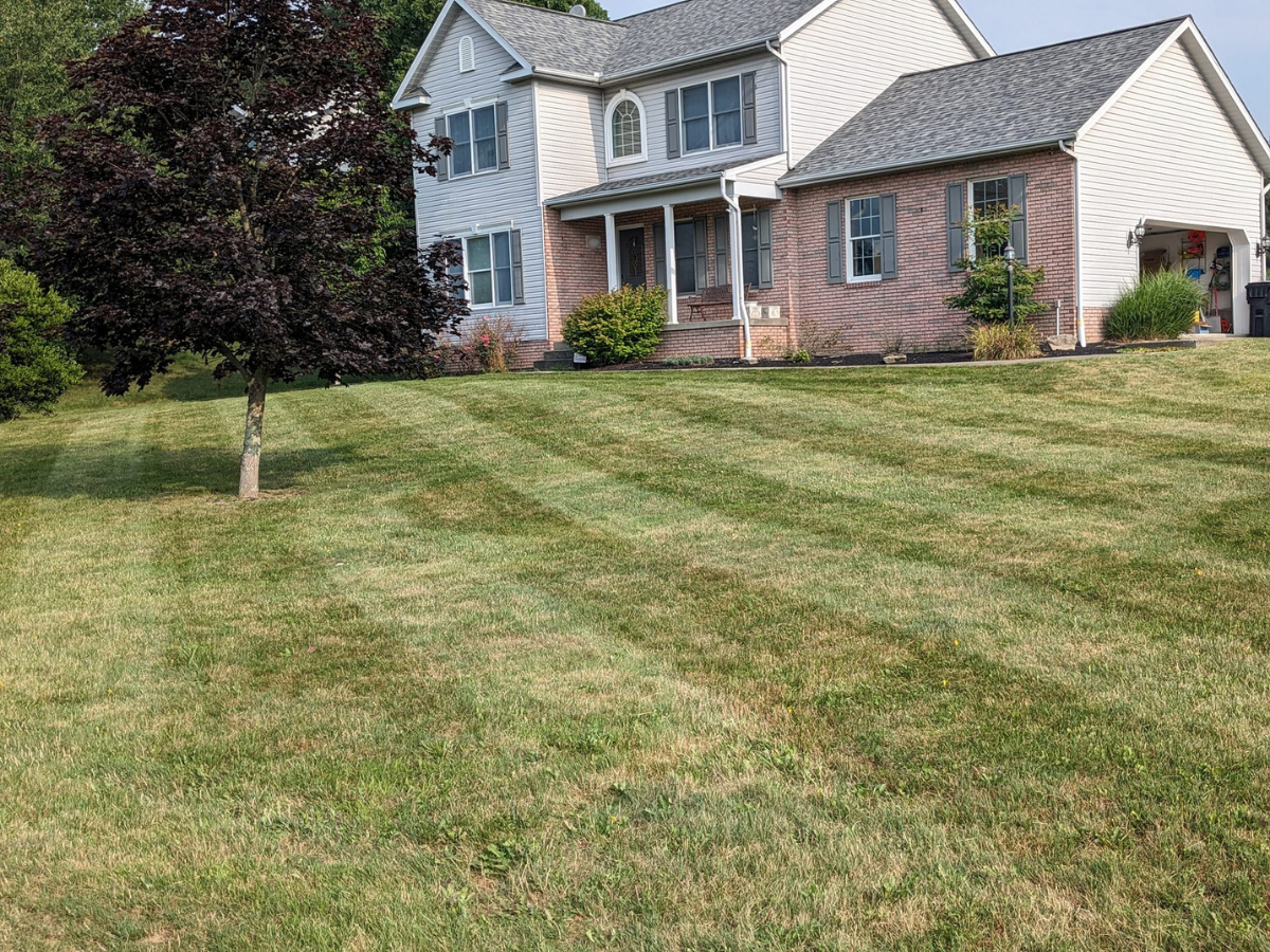 A two-story house with a well-maintained lawn, a tree in the front yard, and a garage with outdoor storage.