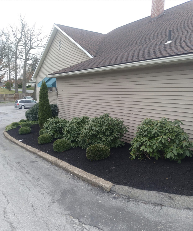 Landscaped area with bushes and shrubs next to a beige house with siding and a sloped roof.