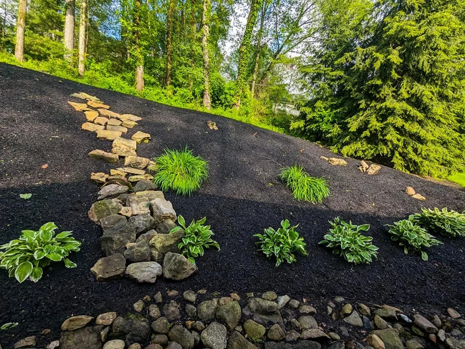 Rocks forming a pathway on a sloped hill with green plants and trees in the background.