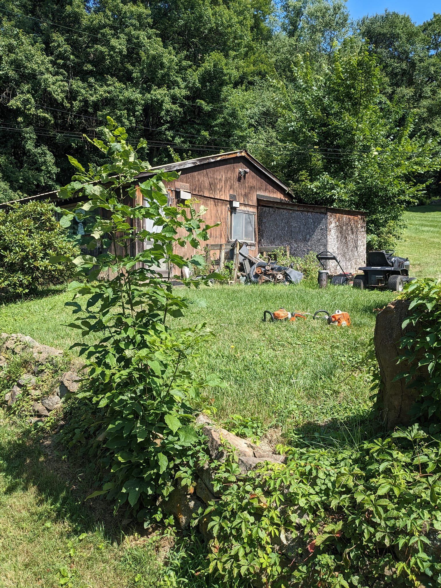 A small wooden shed with a slanted roof, surrounded by green trees and grass, with gardening equipment and tools in front.