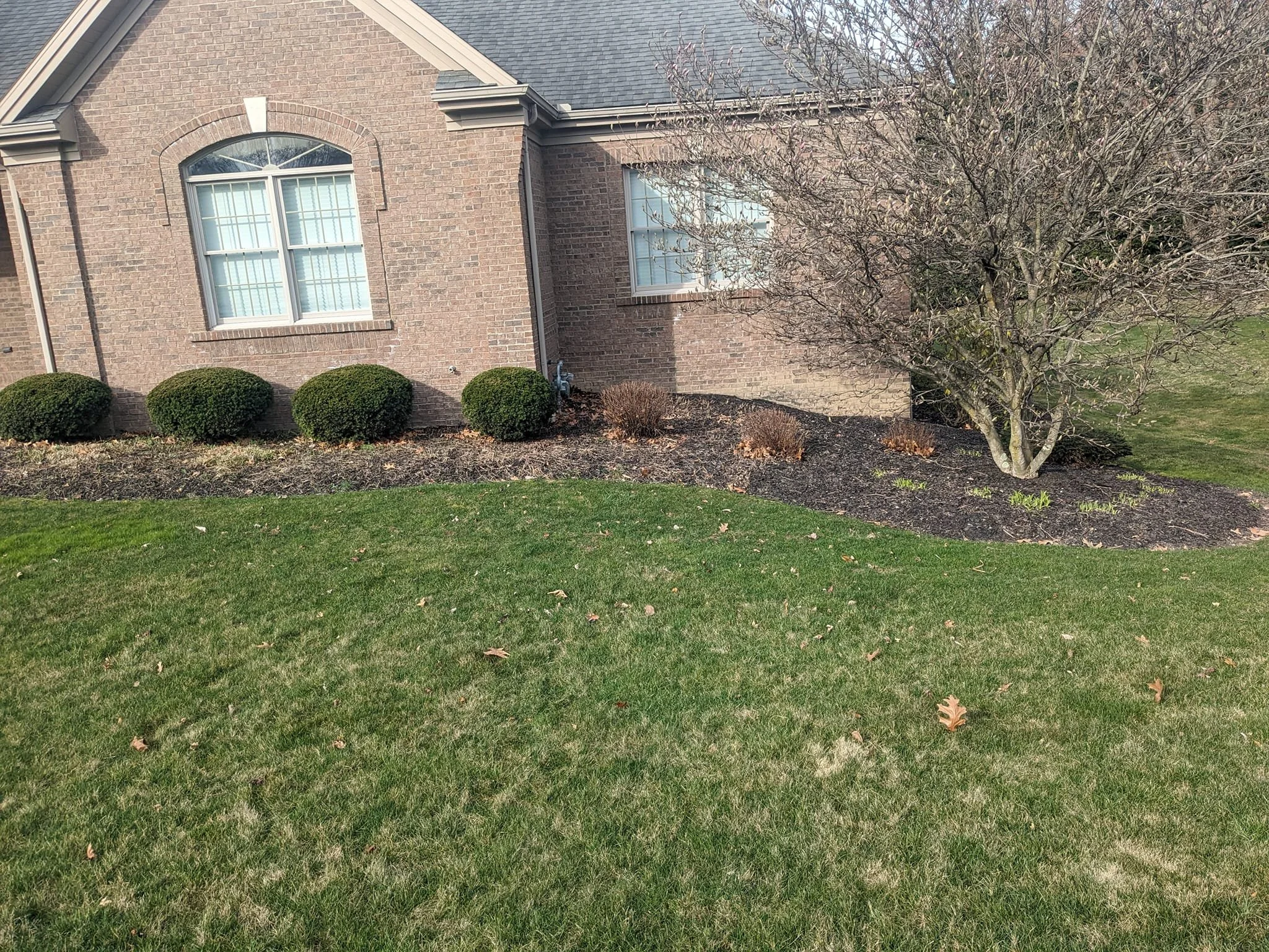 A brick house with arched and rectangular windows, surrounded by a lawn with bushes and a leafless tree.