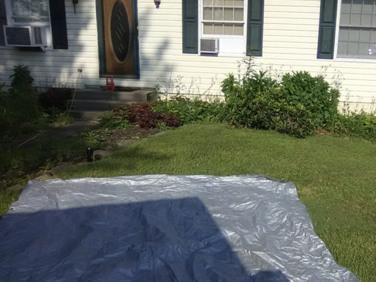 A backyard with a white house, steps leading to a front door, green bushes, and a plastic sheet on the grass.