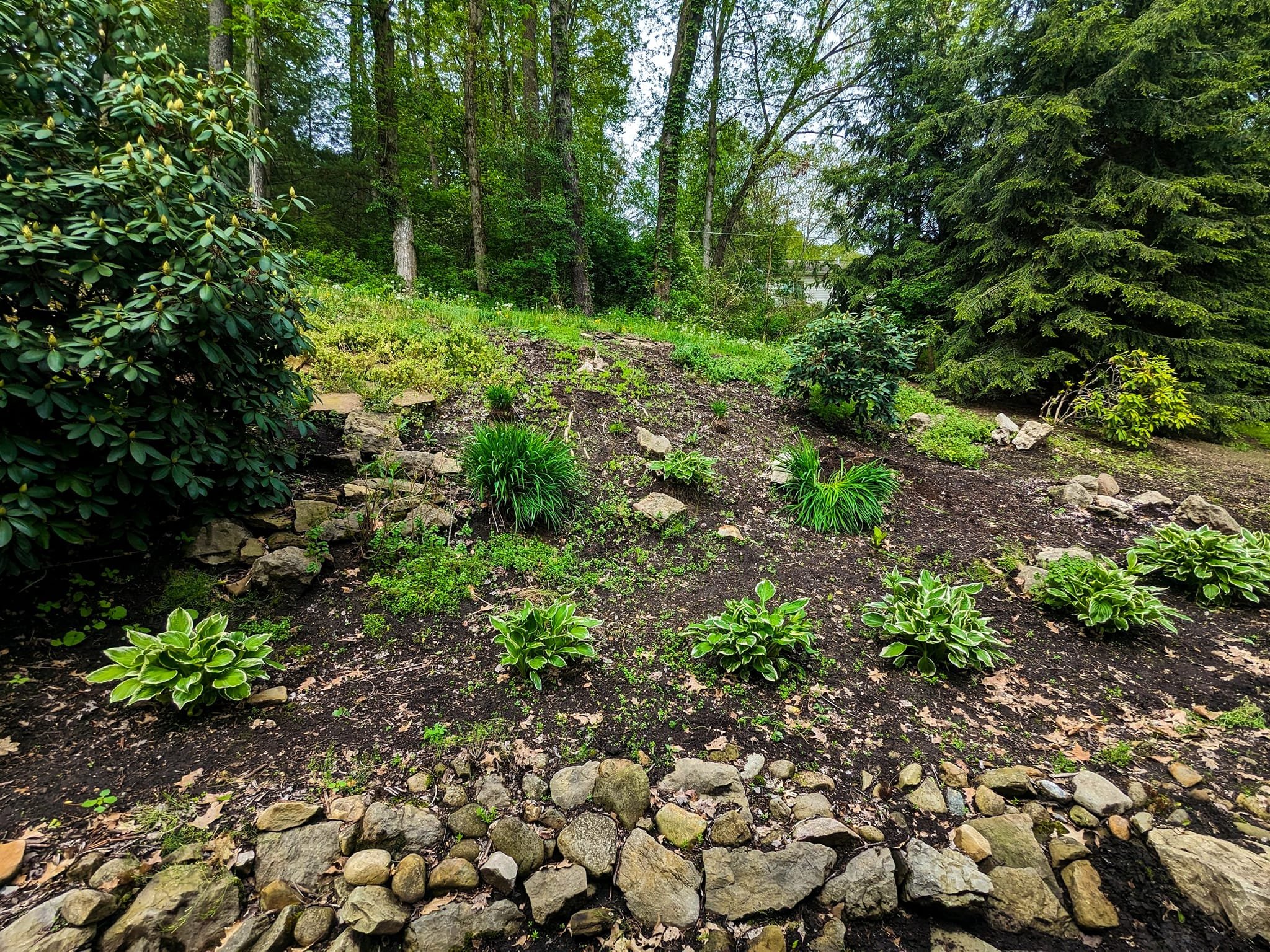 A garden with green shrubs, small plants, trees, rocks, and dirt, under a partly cloudy sky.