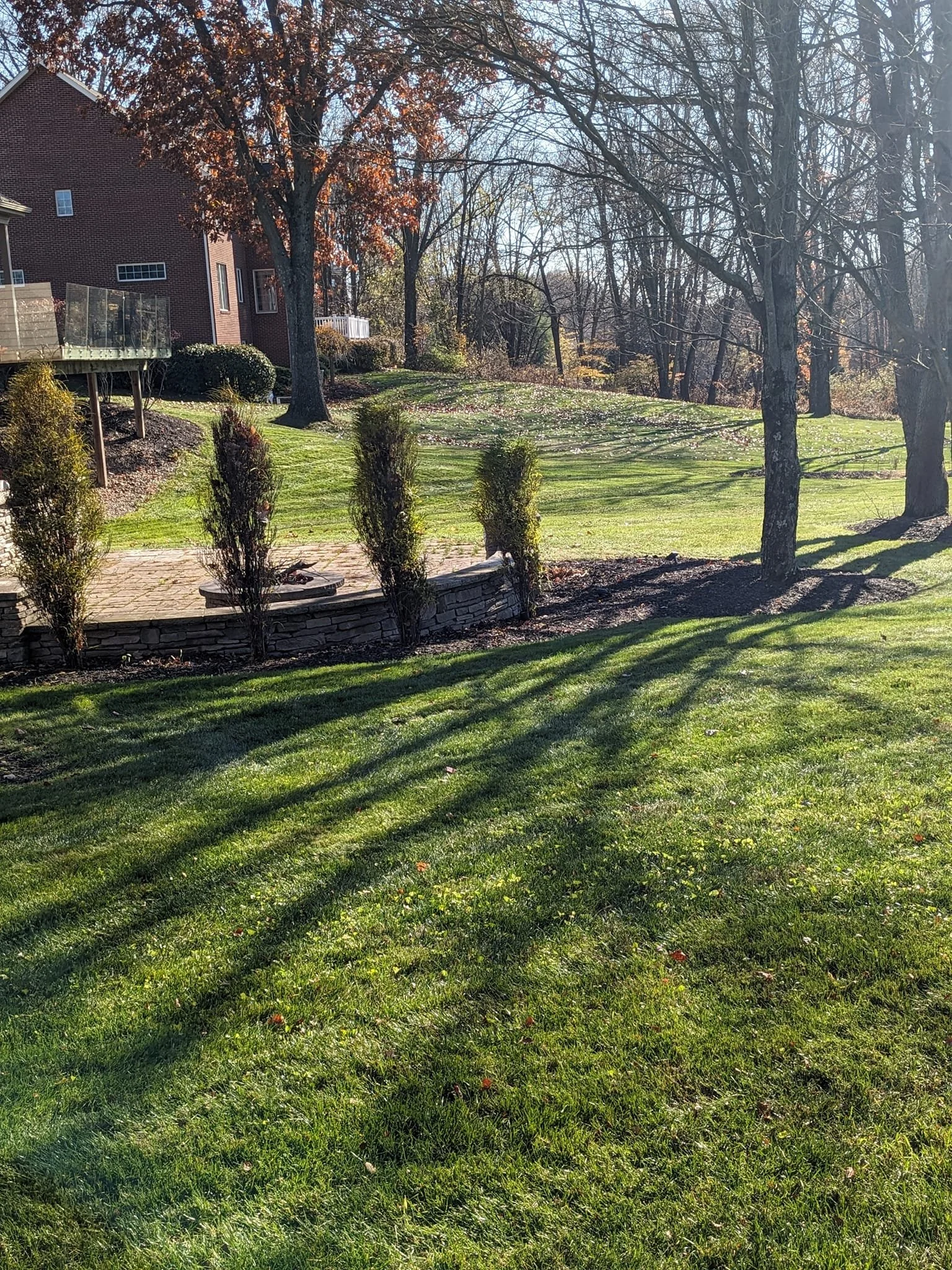 A backyard with a grassy lawn, trees with fall leaves, bushes, and a brick house with a deck.