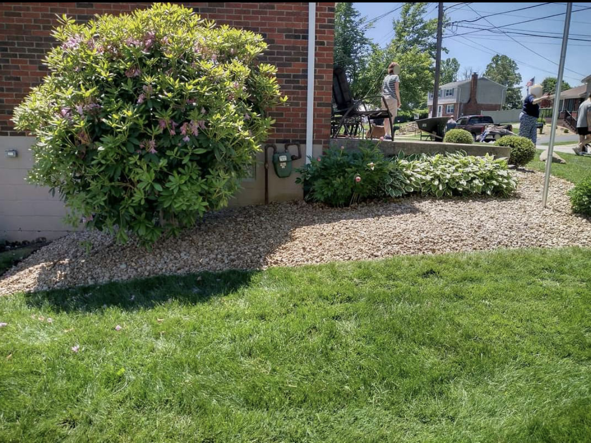 Garden with a large bush with pink flowers, small plants, and gravel surrounding the plants, in front of a brick building, with people walking on the sidewalk in the background.