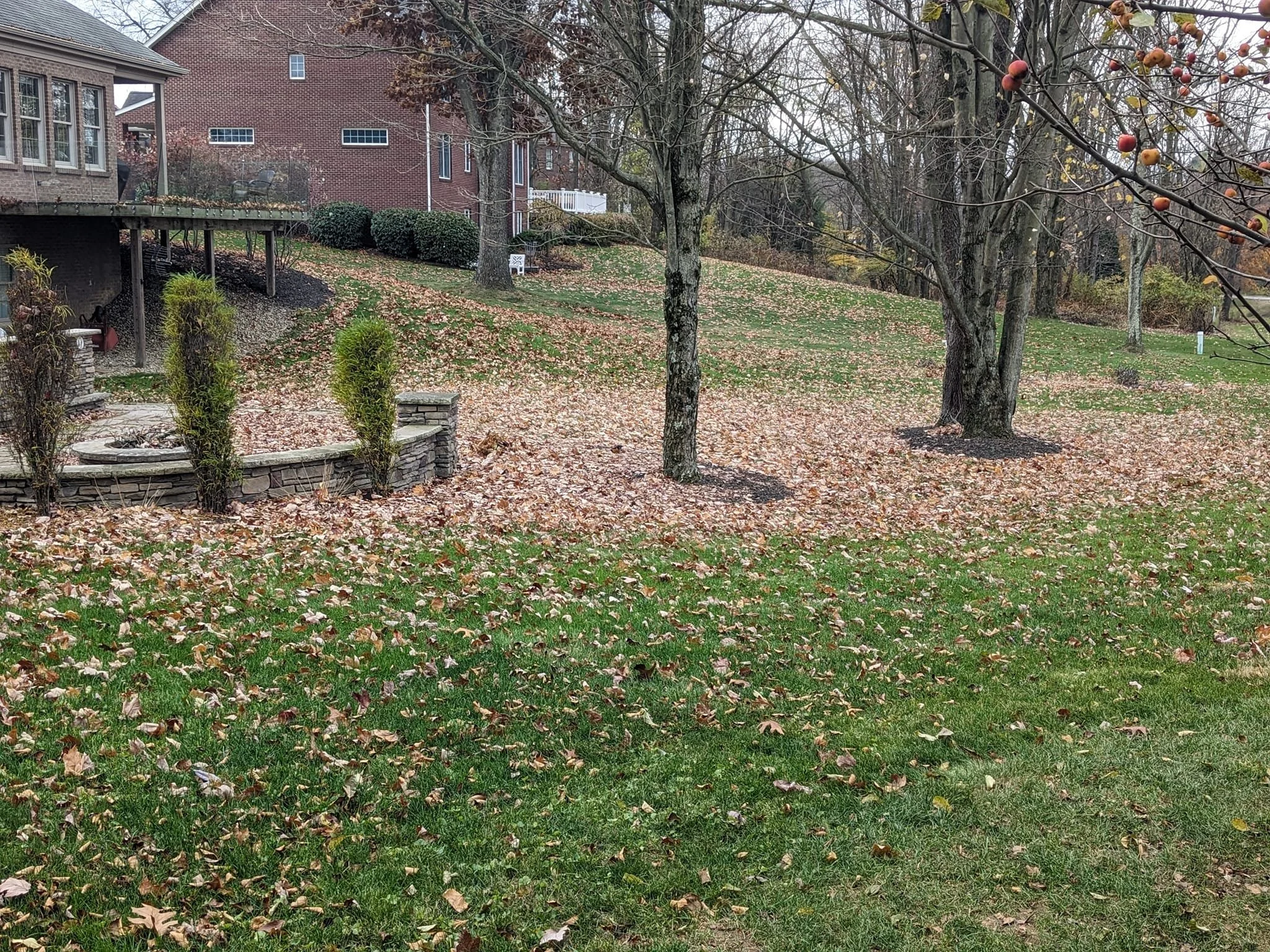A residential backyard scene in fall with trees, fallen leaves, and a brick house in the background.