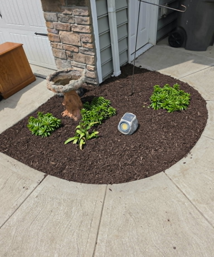 A small landscaped garden bed with dark mulch, featuring a bird bath shaped like a tree stump, small green plants, and a solar-powered light, located next to a house with a brick and siding exterior.
