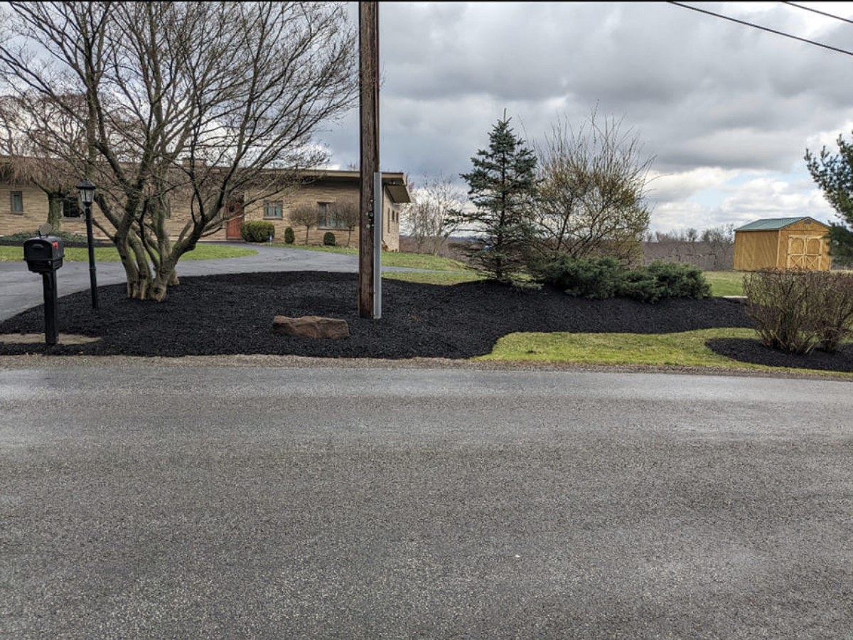 Residential driveway with landscaping, two mailboxes, trees, shrubs, a shed, and a cloudy sky.
