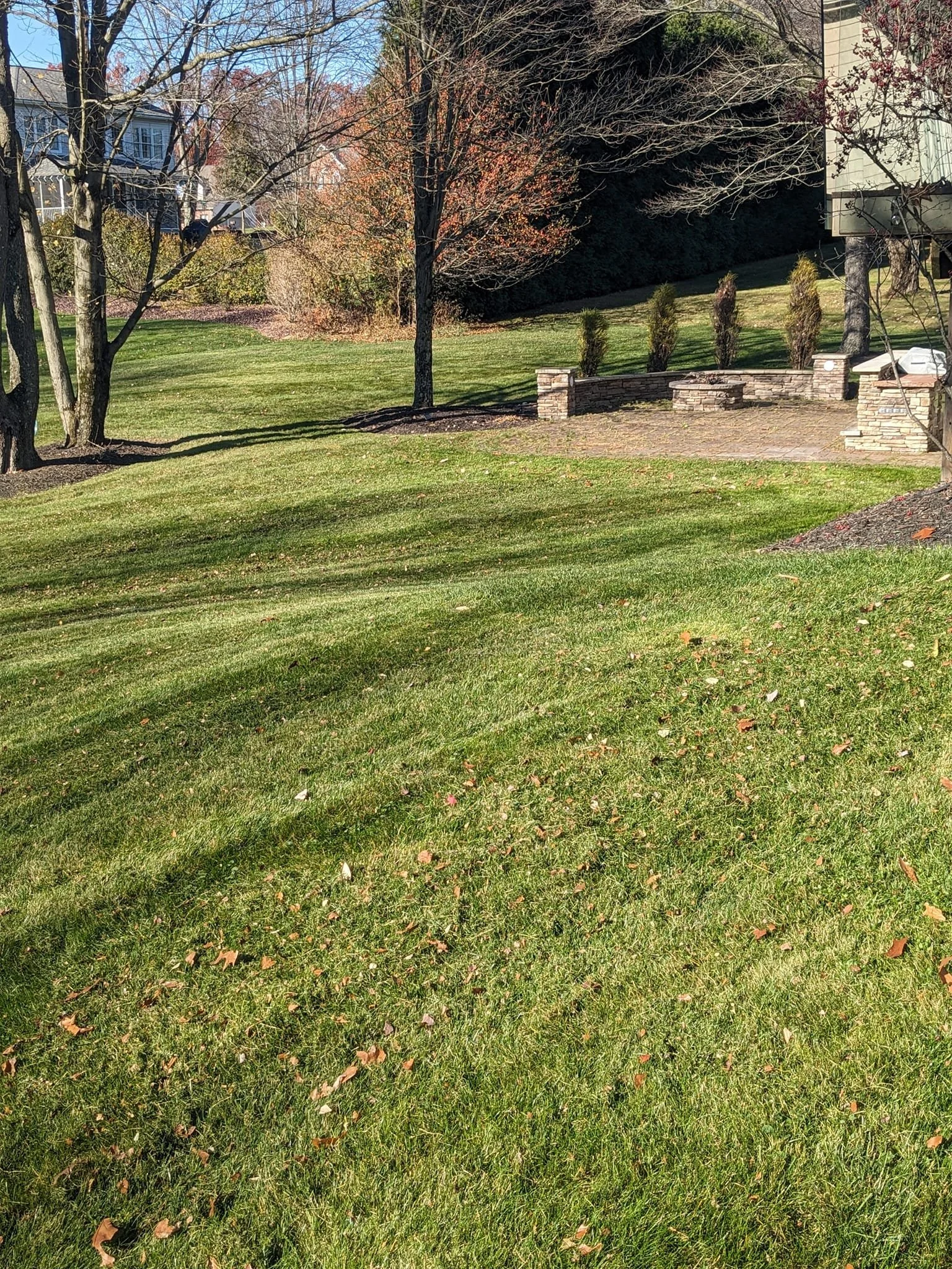 A grassy lawn with scattered fallen leaves, trees with bare branches, and a stone patio with a fire pit, surrounded by a brick wall and bushes. Residential houses are visible in the background.