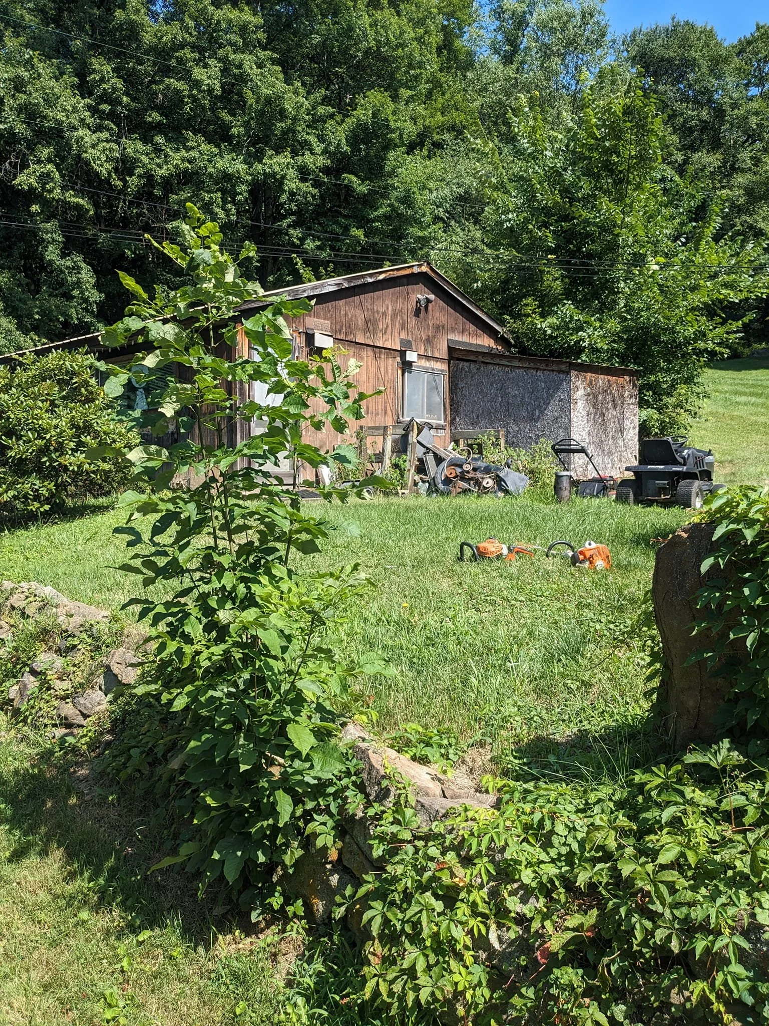 A small wooden shed in a lush green backyard with trees in the background, gardening tools, and a lawn mower on the grass.