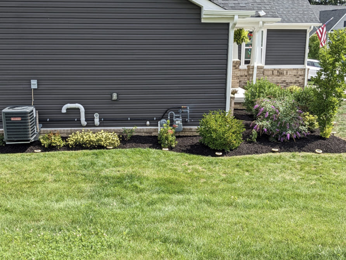 Backyard garden bed with shrubs and flowering plants, with a house in the background featuring an air conditioning unit and utility pipes along the wall.