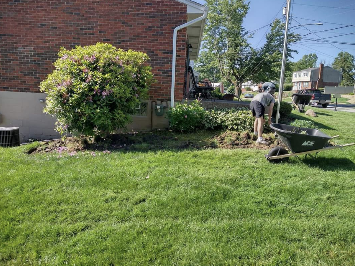 A person planting flowers or shrubs in a garden bed next to a brick house. A wheelbarrow with the brand 'ACE' is placed nearby. The scene is sunny with green grass and trees, and a residential neighborhood with houses and cars is visible in the backg