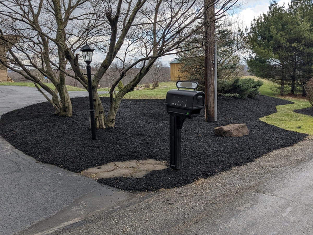 Black mailbox on a post near a house, with a tree and a lamp post, surrounded by dark mulch and a small rock, in a yard with grass and trees, during overcast weather.