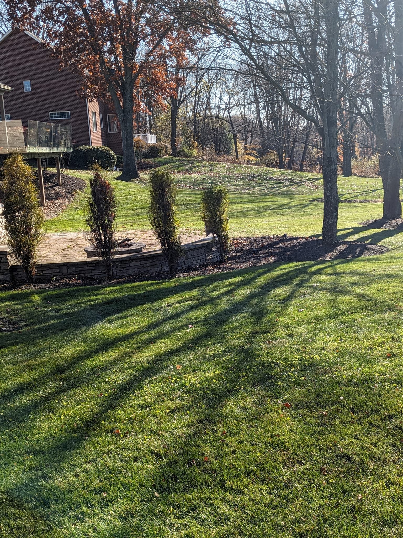 A backyard with green grass, several trees with some leaves, and a house with a brick exterior and a deck.
