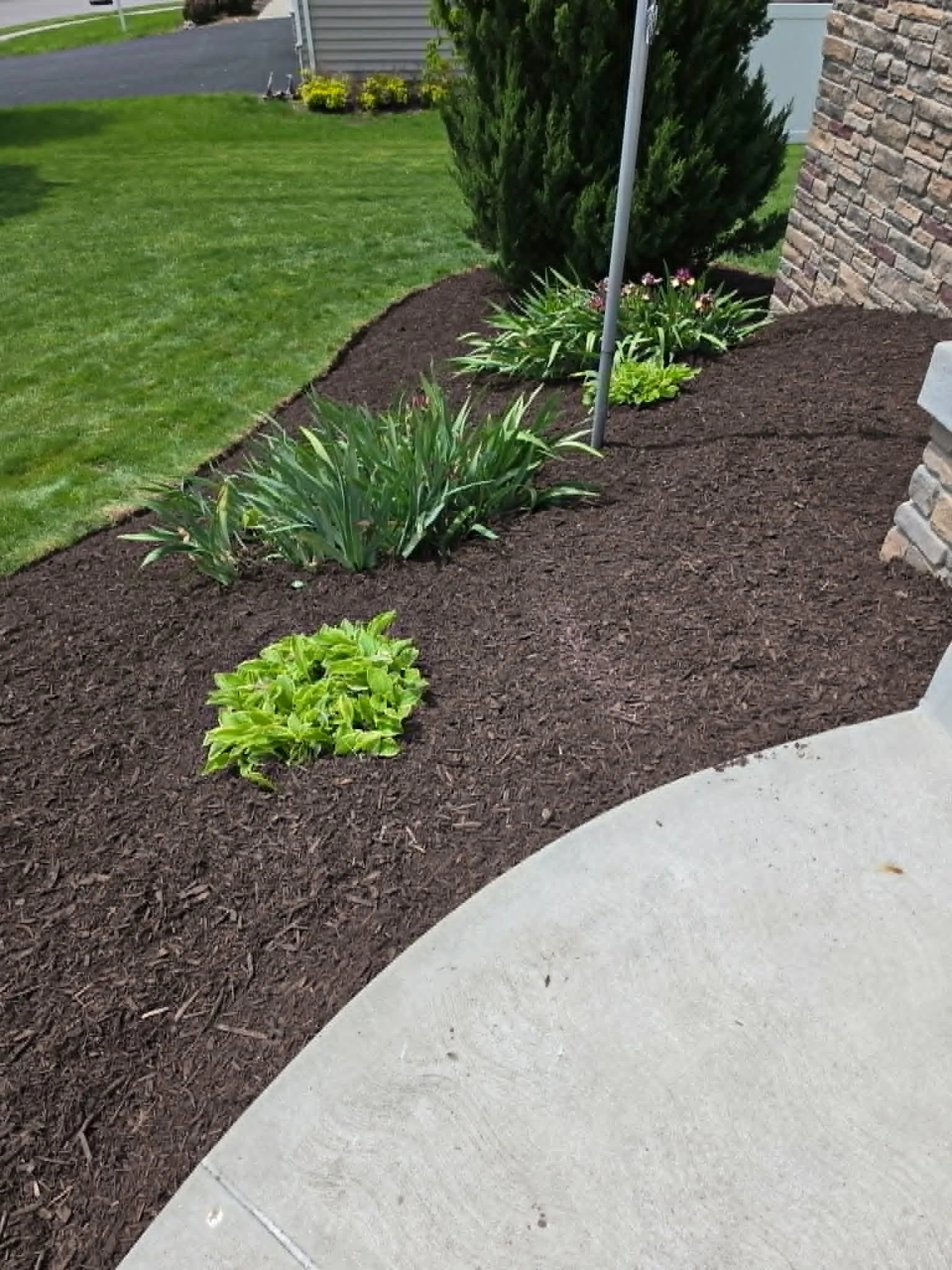 A landscaped yard with a flower bed containing green plants and mulch, bordered by a curved concrete sidewalk, next to a brick house wall and a green lawn.