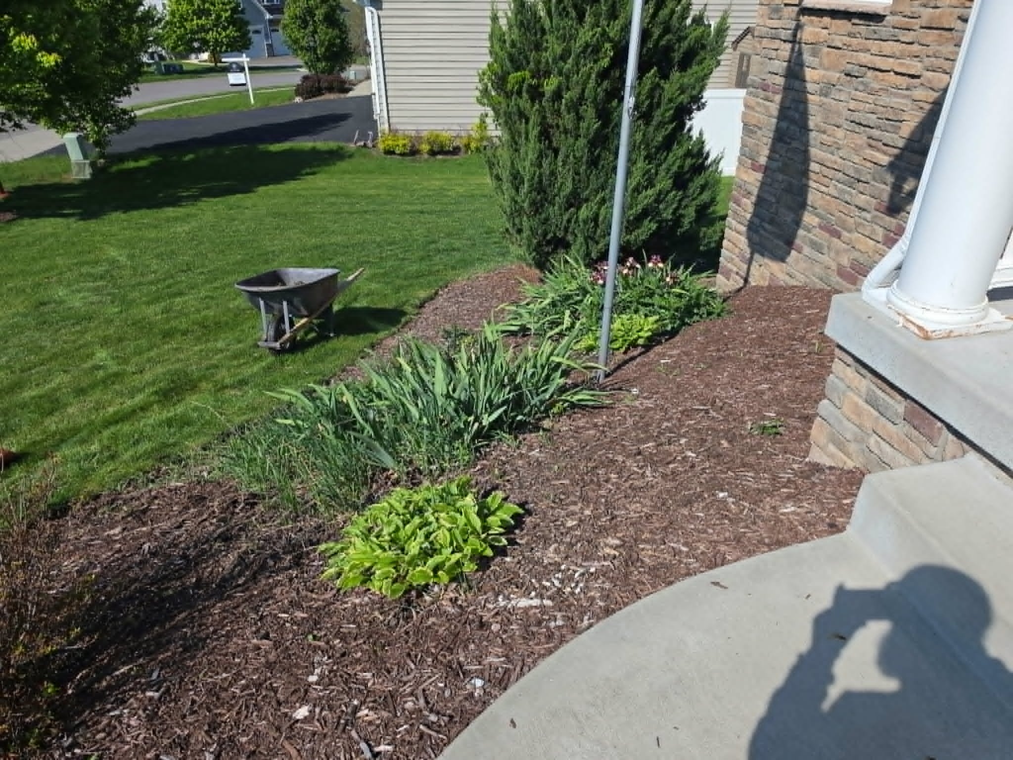 A front yard with a green lawn, flower bed, and bushes next to a brick house. A wheelbarrow is on the sidewalk near the flower bed. A pole and a hose are also visible in the yard.