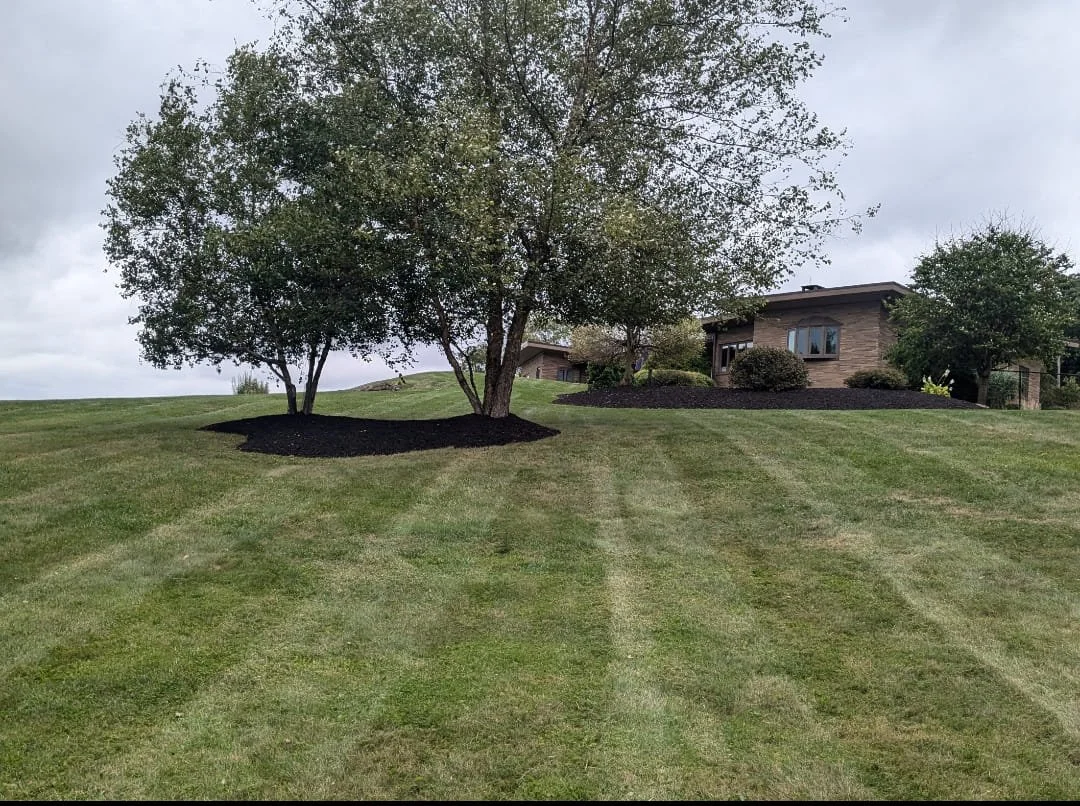 A large grassy lawn with trees and shrubs, and a house in the background under a cloudy sky.