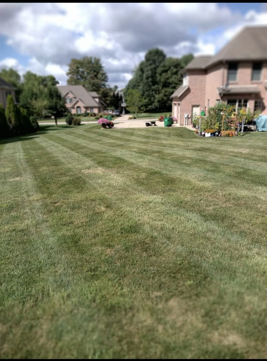 A well-manicured backyard with striped grass, surrounding trees, a brick house with a garden, and a driveway with flower pots and gardening tools under a partly cloudy sky.