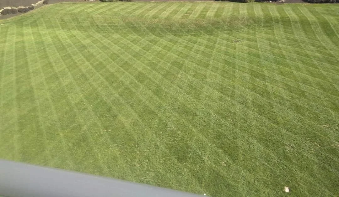 A large grassy field with evenly mowed stripes, slightly curved shape, and a few small patches of uneven grass.