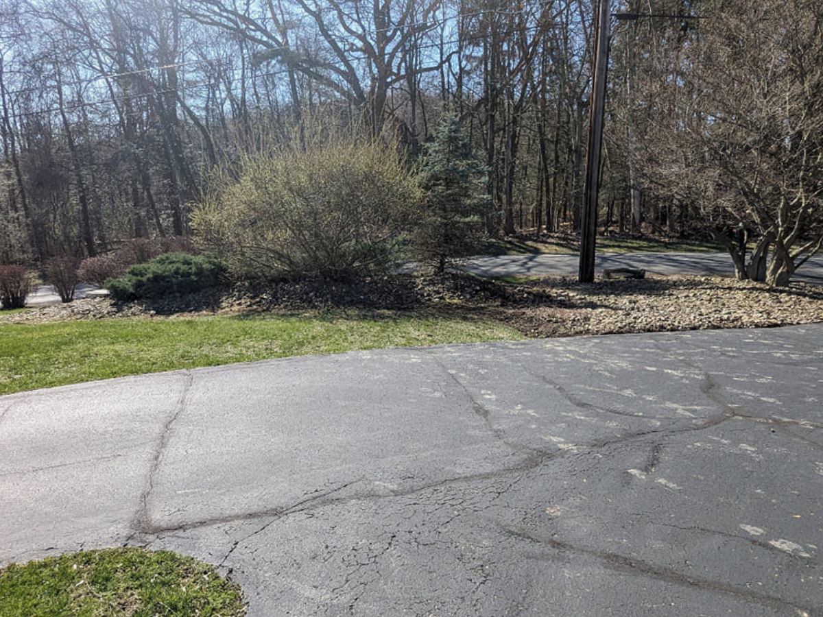A parking lot with cracked pavement, next to landscaped bushes and trees in a wooded area.
