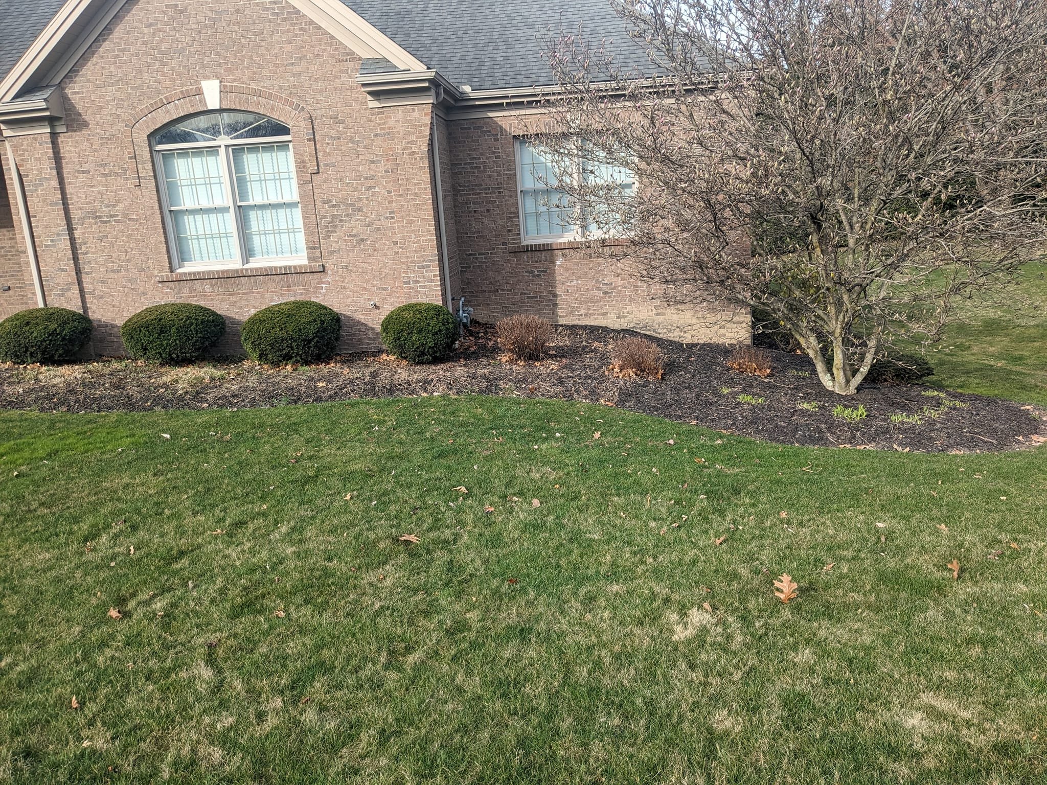 The side view of a brick house with three arched windows, a small tree with no leaves, and neatly trimmed bushes in front. The lawn is green with some fallen leaves.