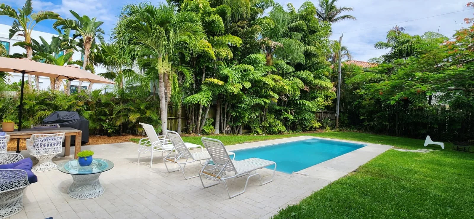 6.jpeg