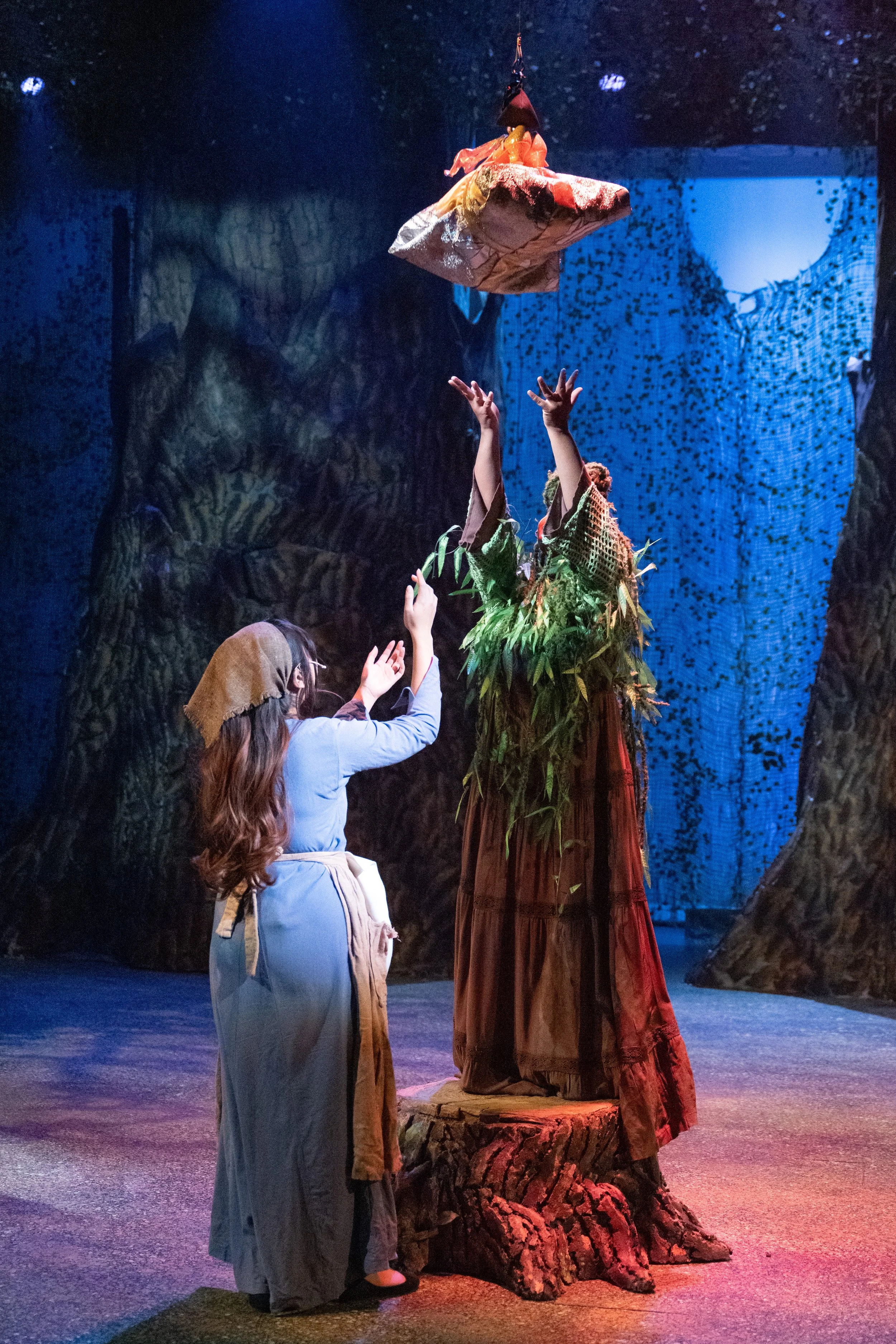 Cinderella's Mother gifts her a dress for the ball
