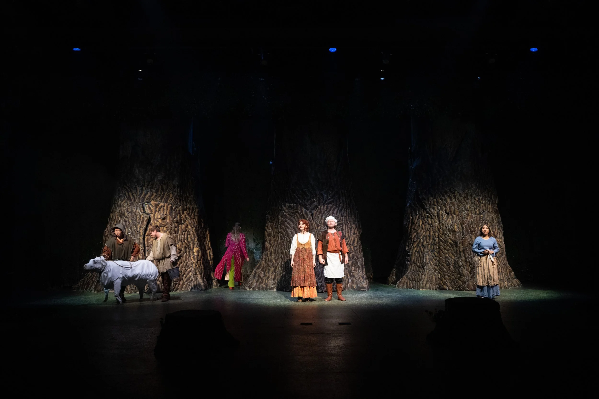 Into The Woods
