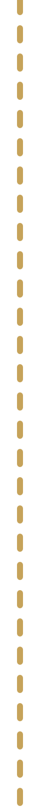 Yellow dashed line with alternates of long and short dashes, running vertically in the center of a plain white background.