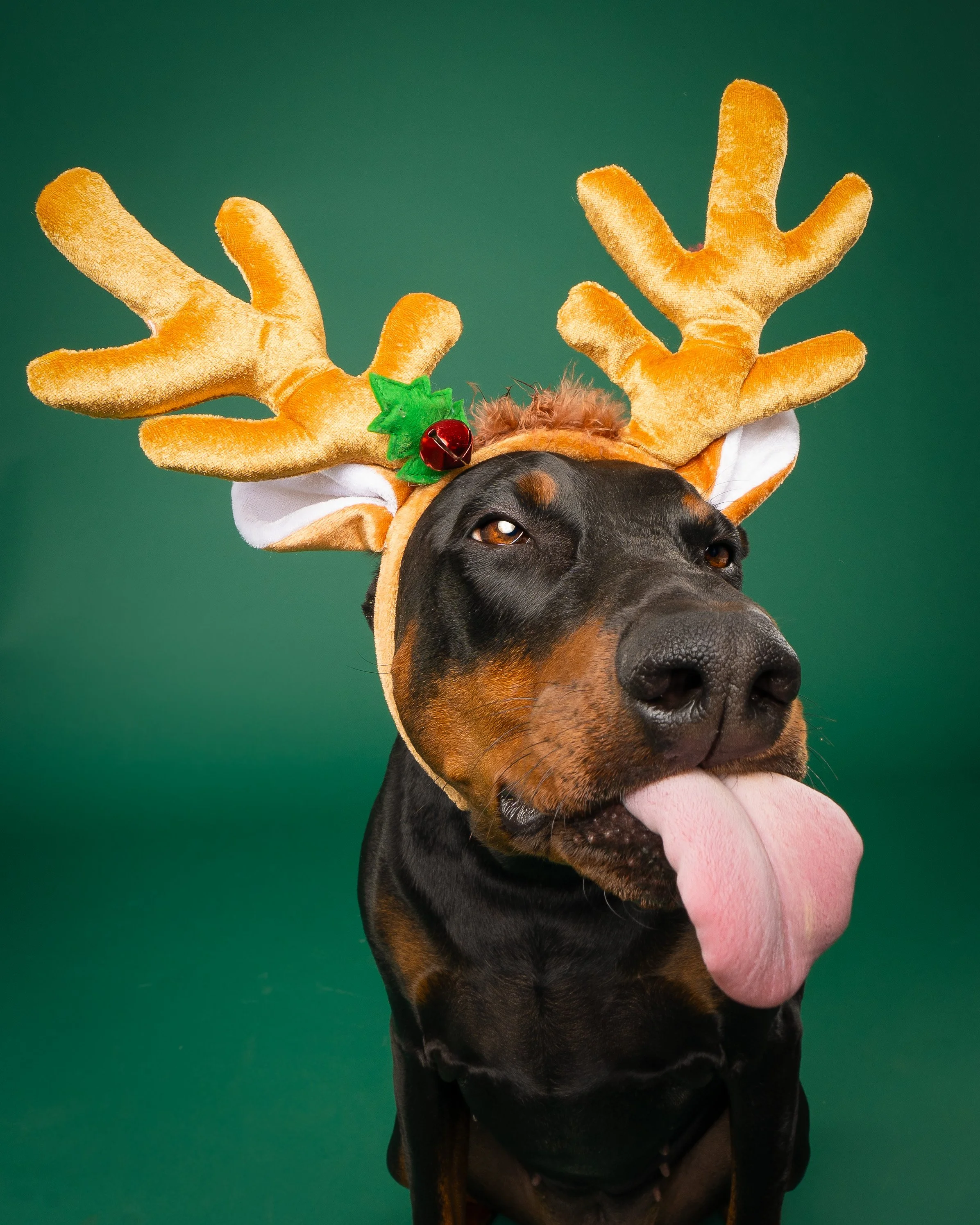 Wendy Reindeer2.jpg