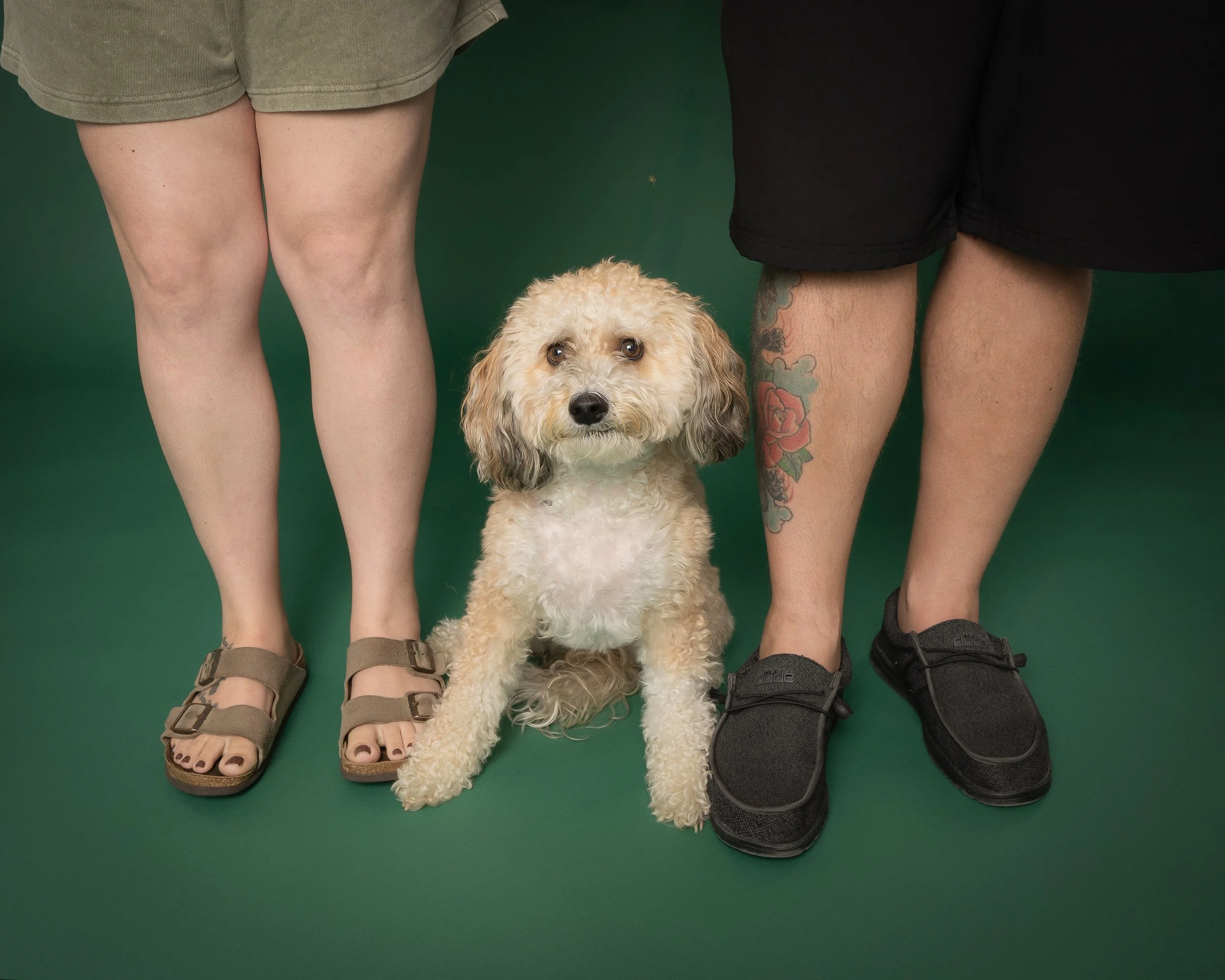 DogFam.jpg