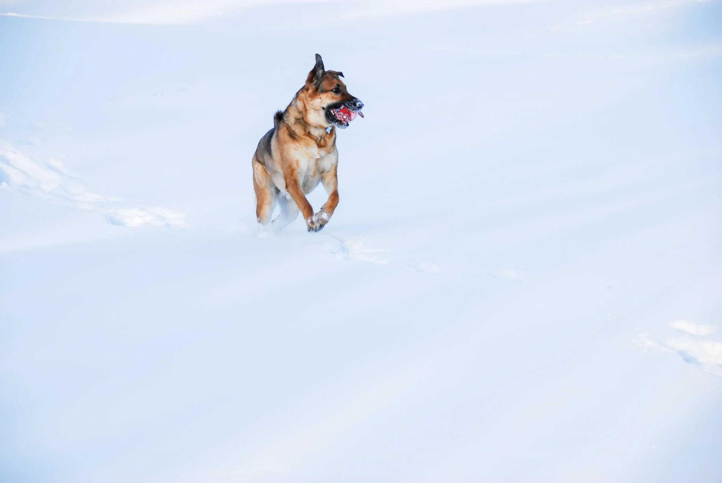 DSC_0194.jpg