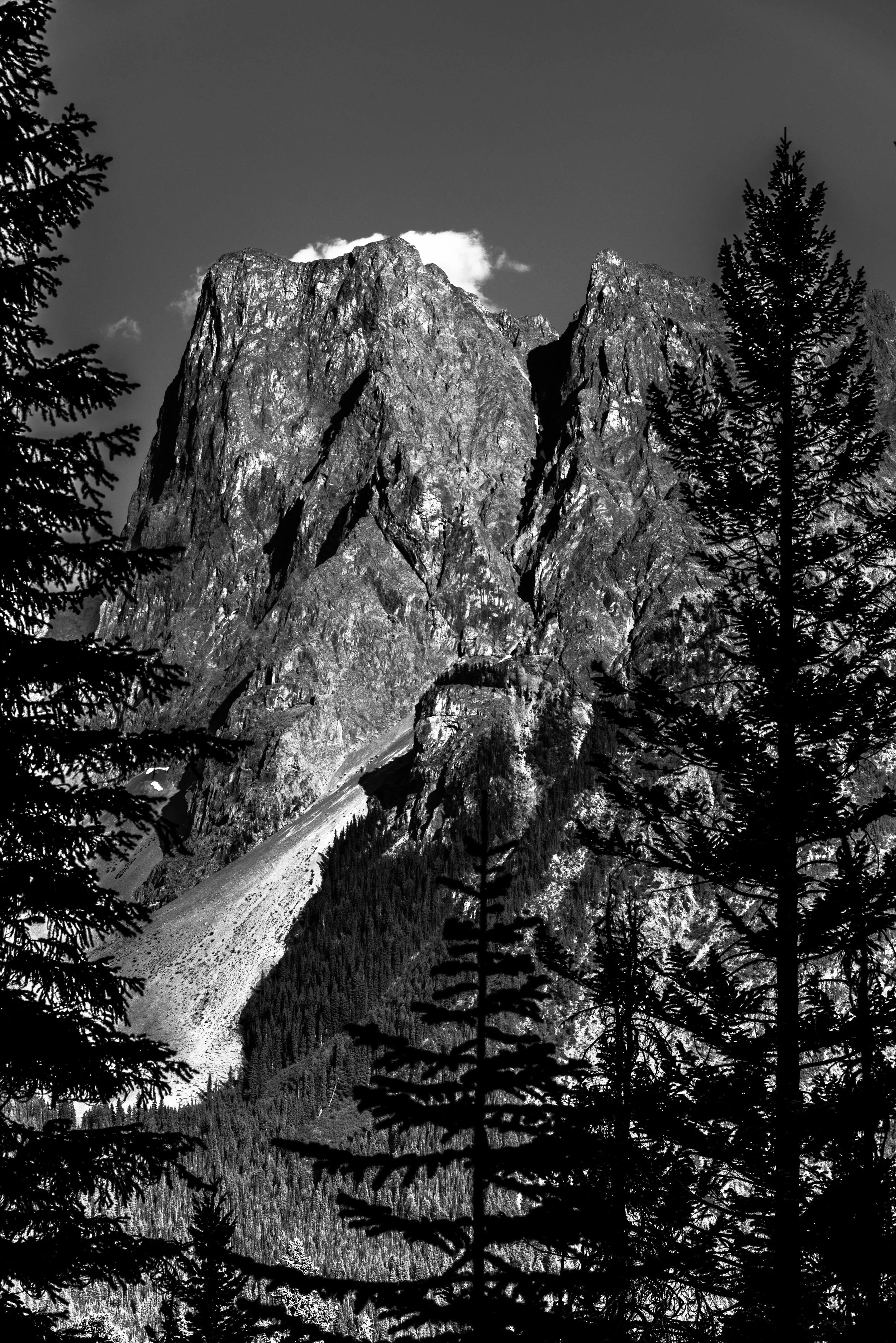 DSC_1472-1.jpg