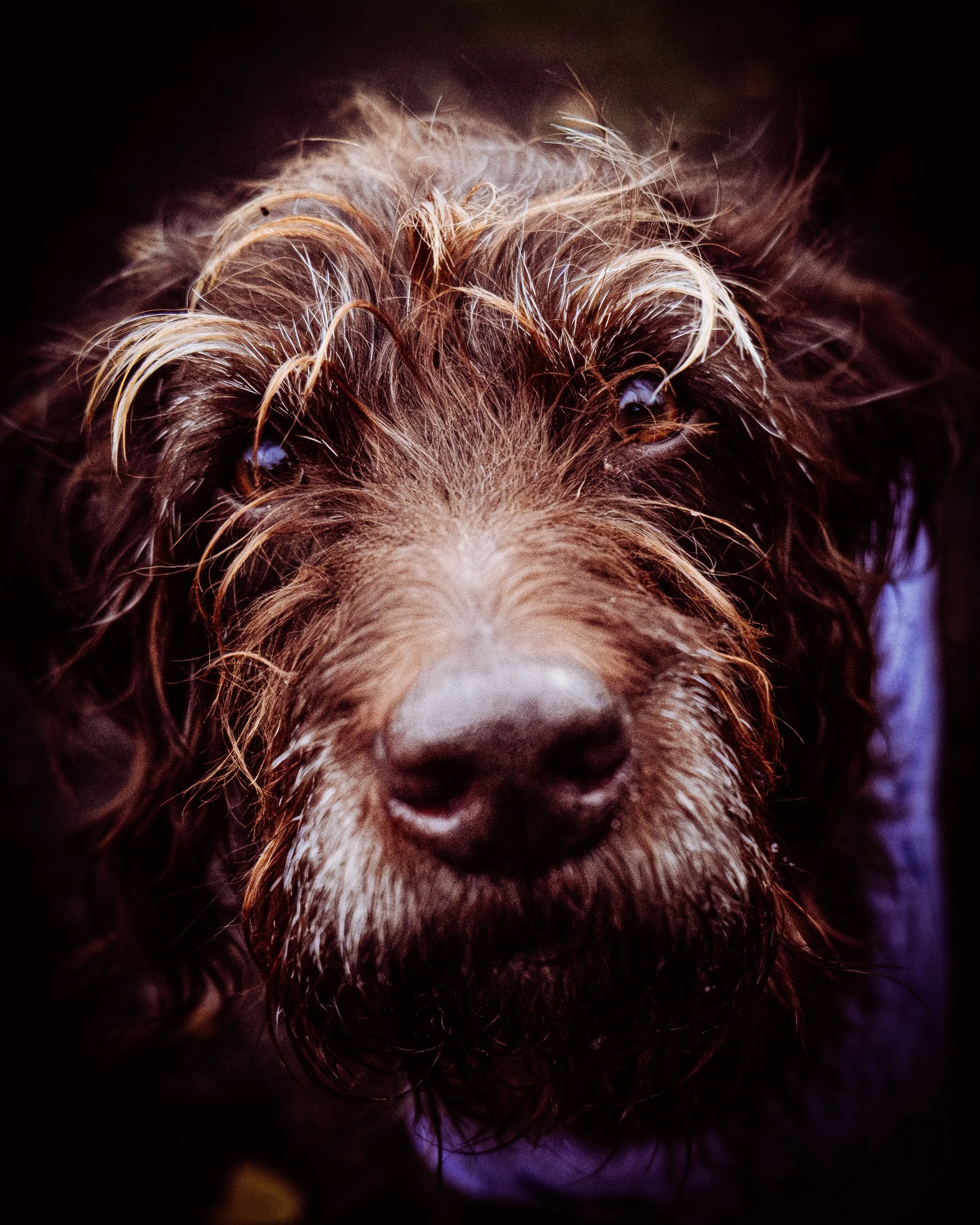 DSCF6270.jpg
