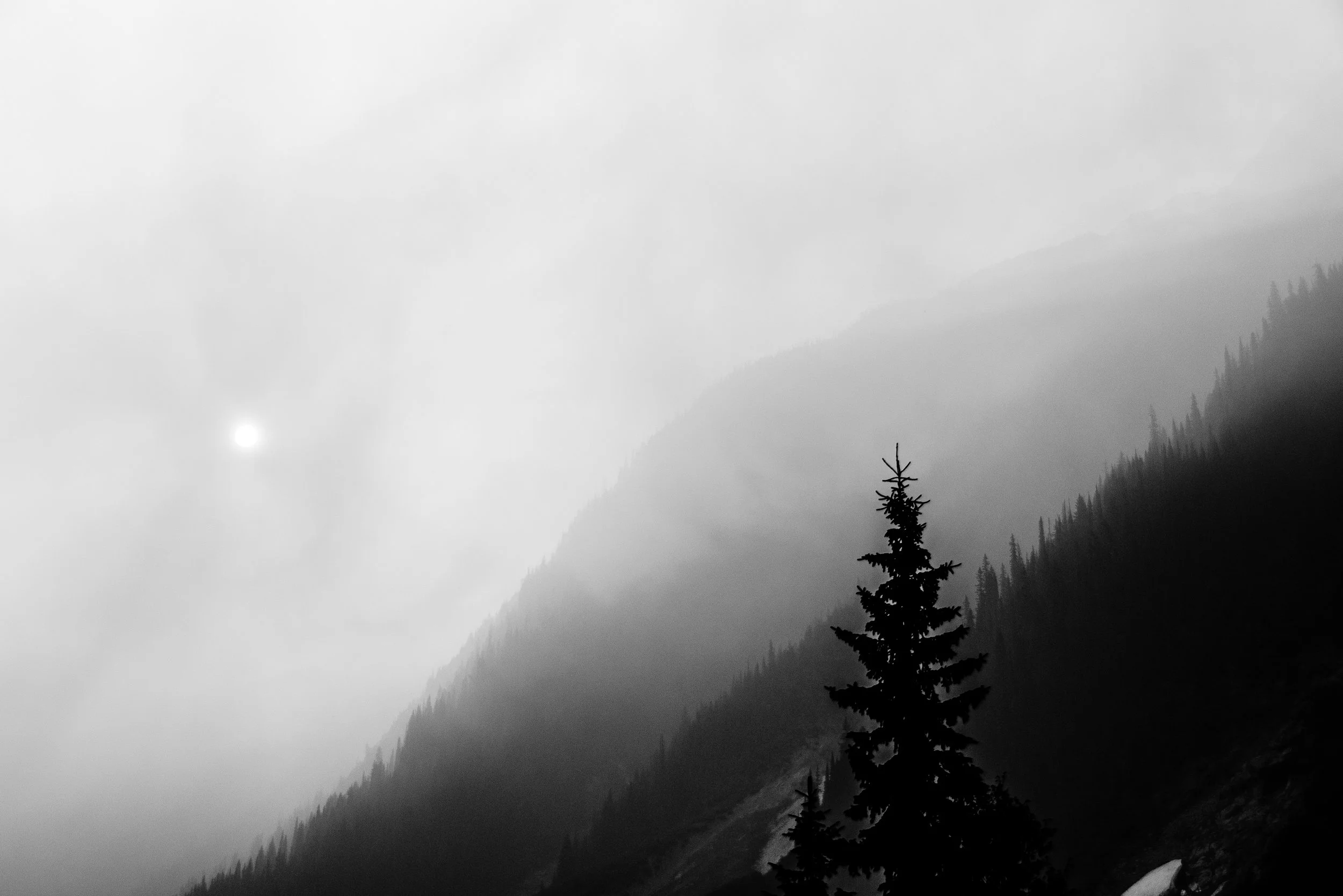 DSC_1078-1.jpg