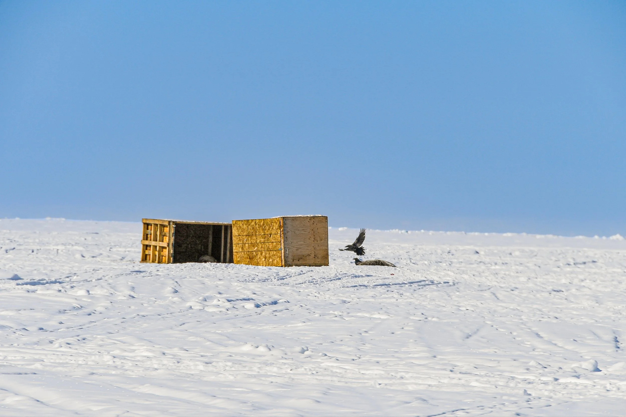 DSC_2656.jpg