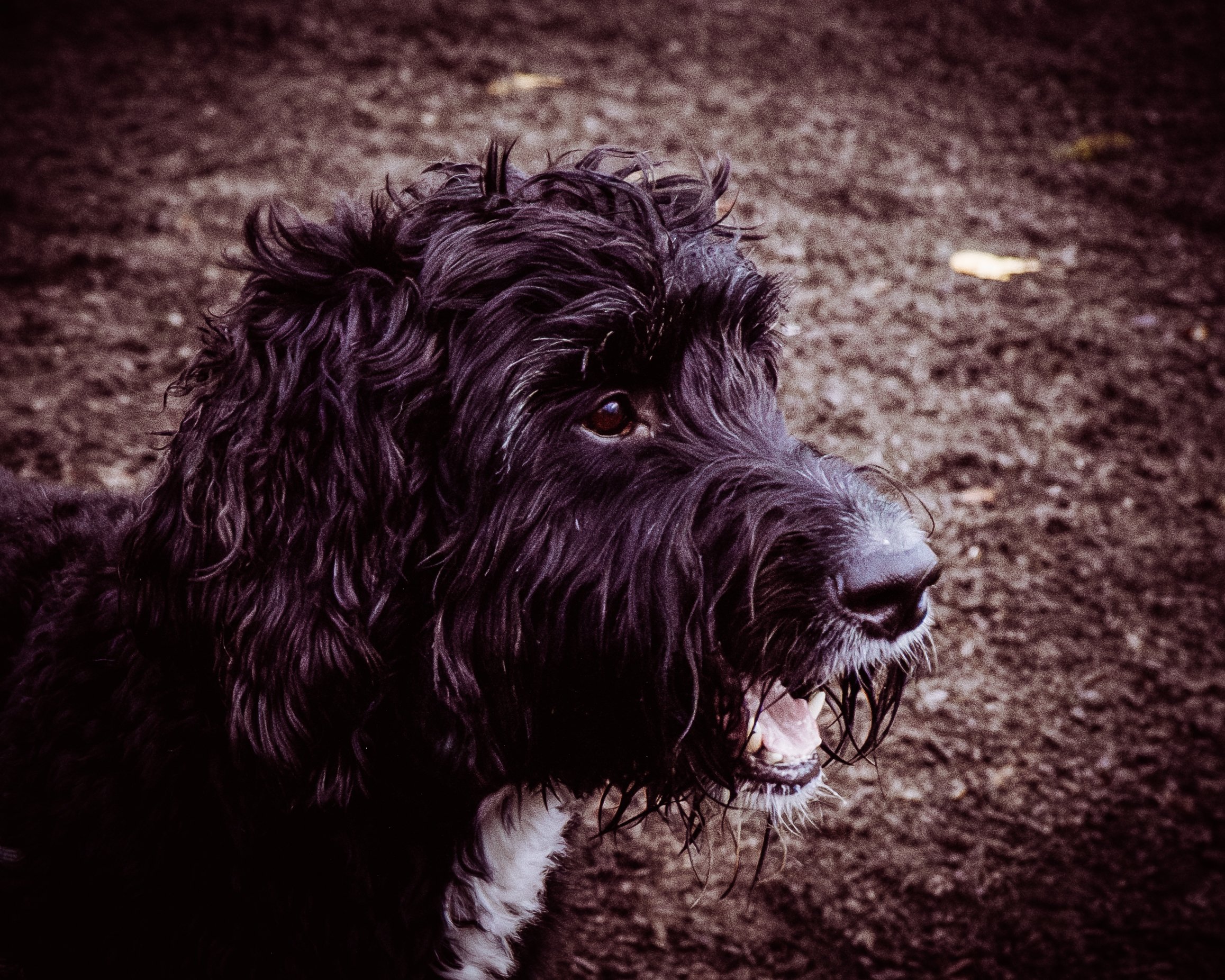 DSCF6074.jpg