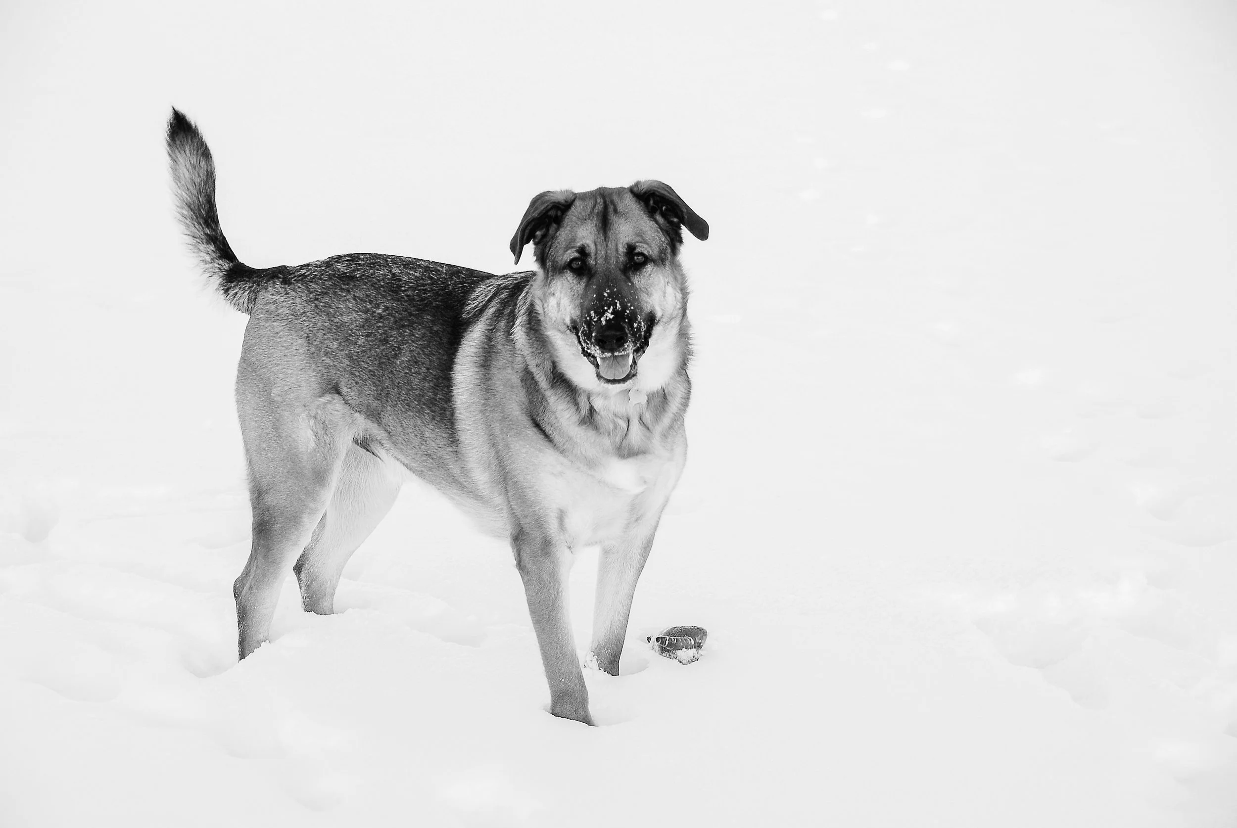 DSC_0164.jpg