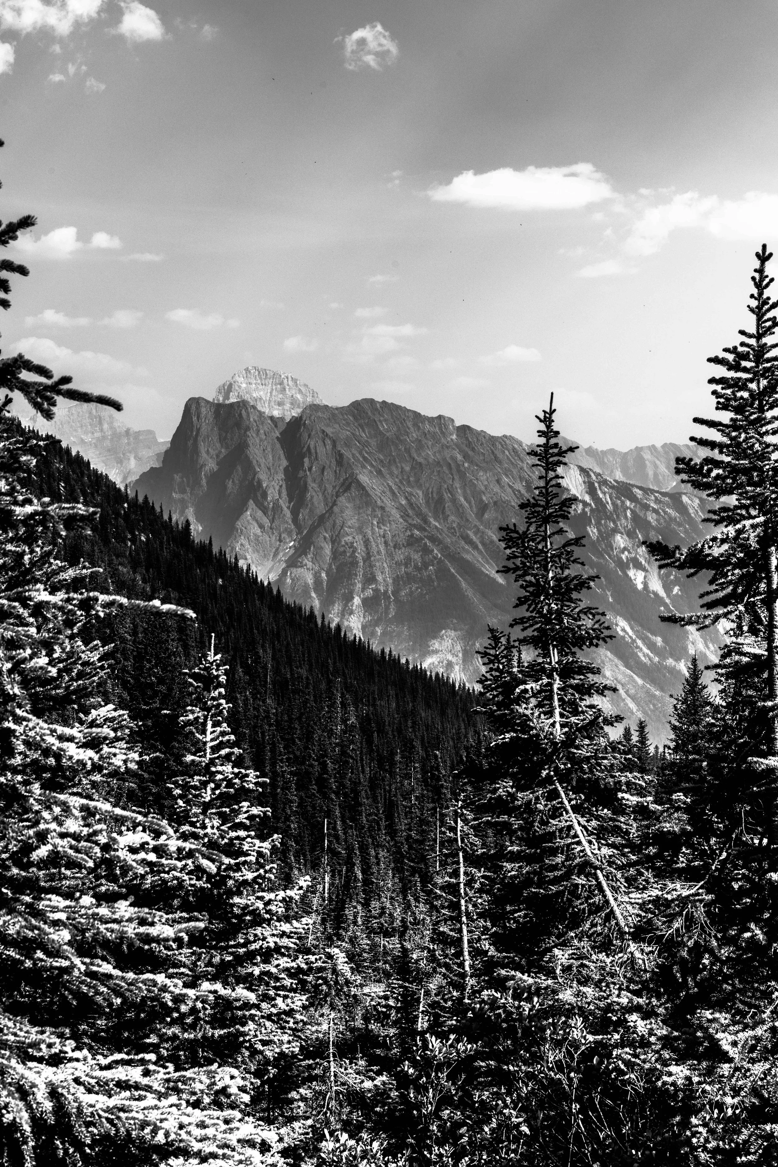 DSC_1379-1.jpg