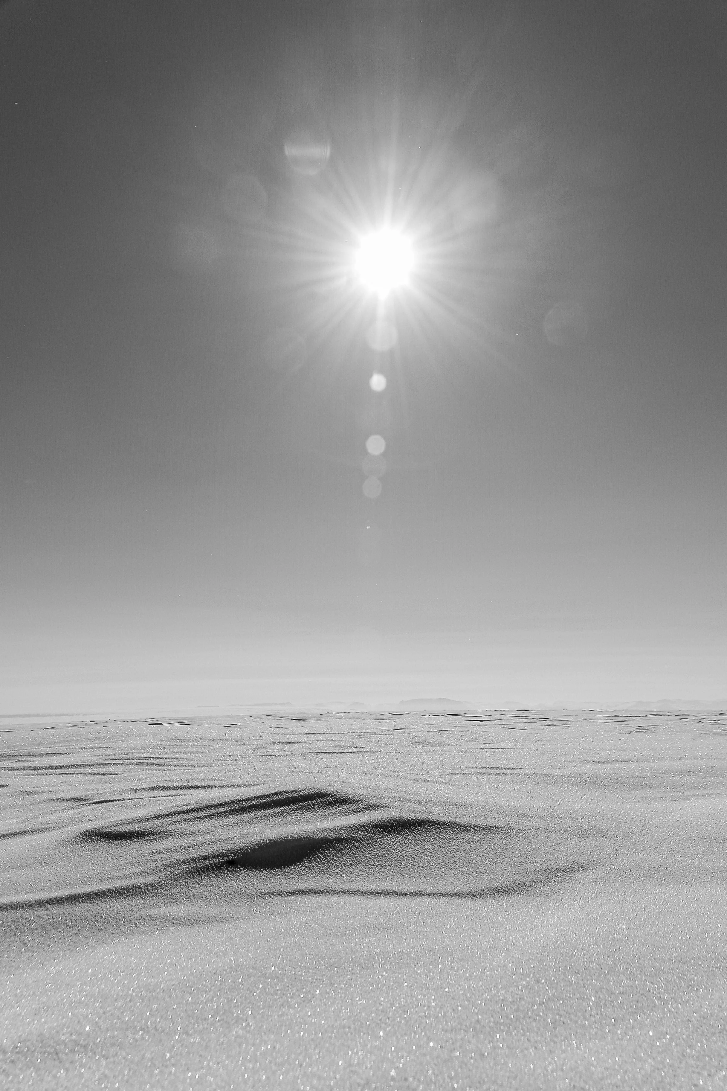 DSC_2814.jpg