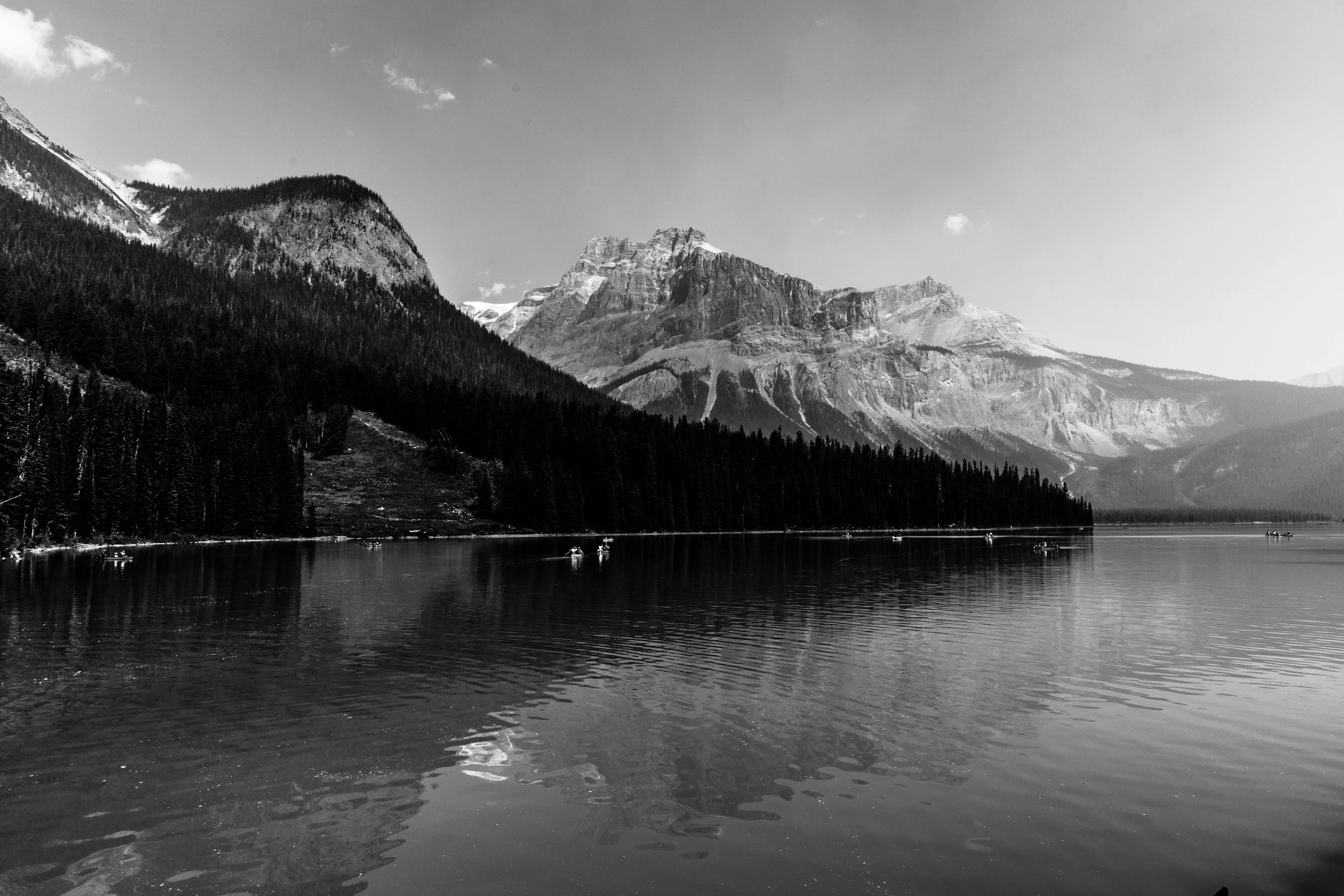 DSC_1256-1.jpg