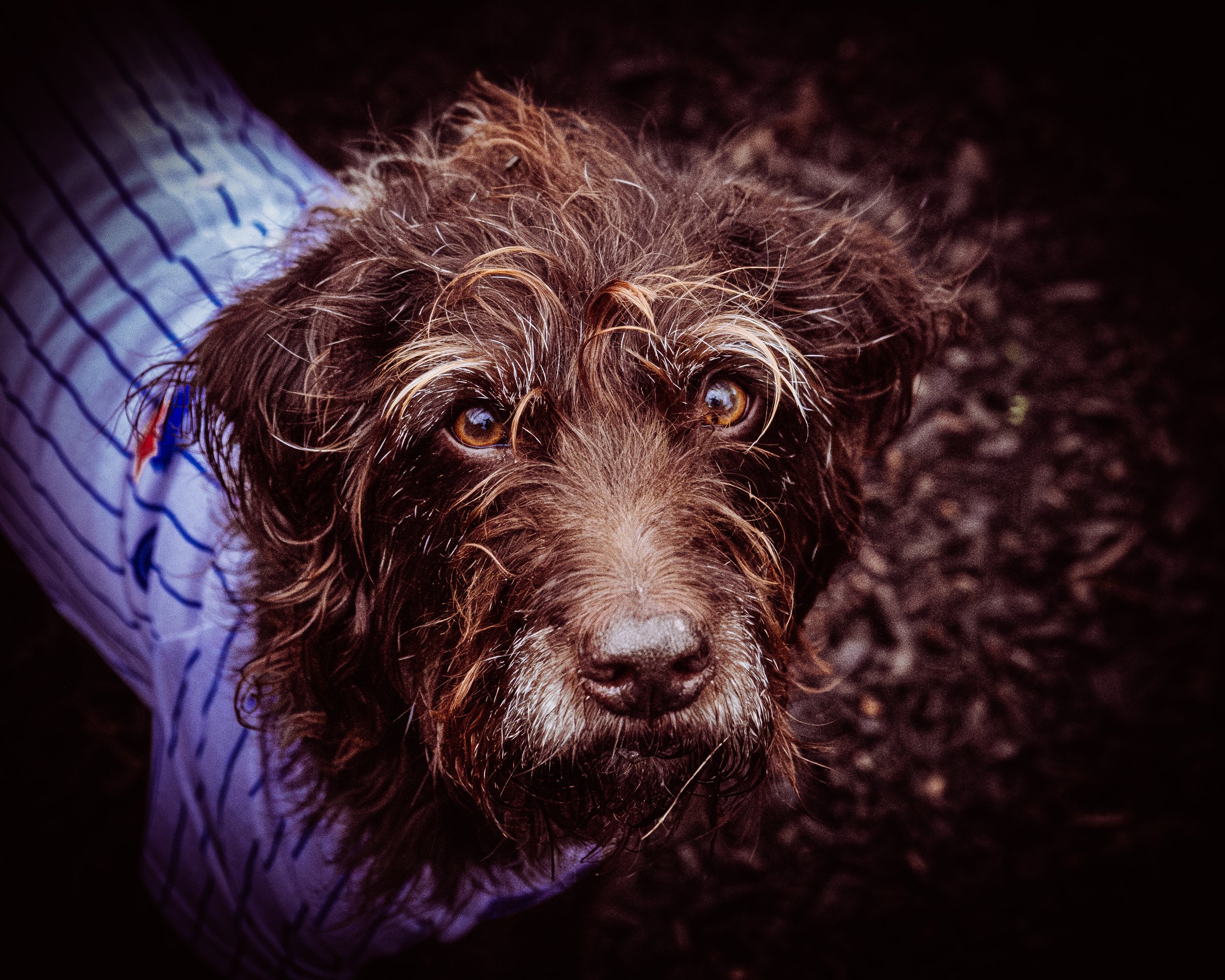 DSCF6178.jpg