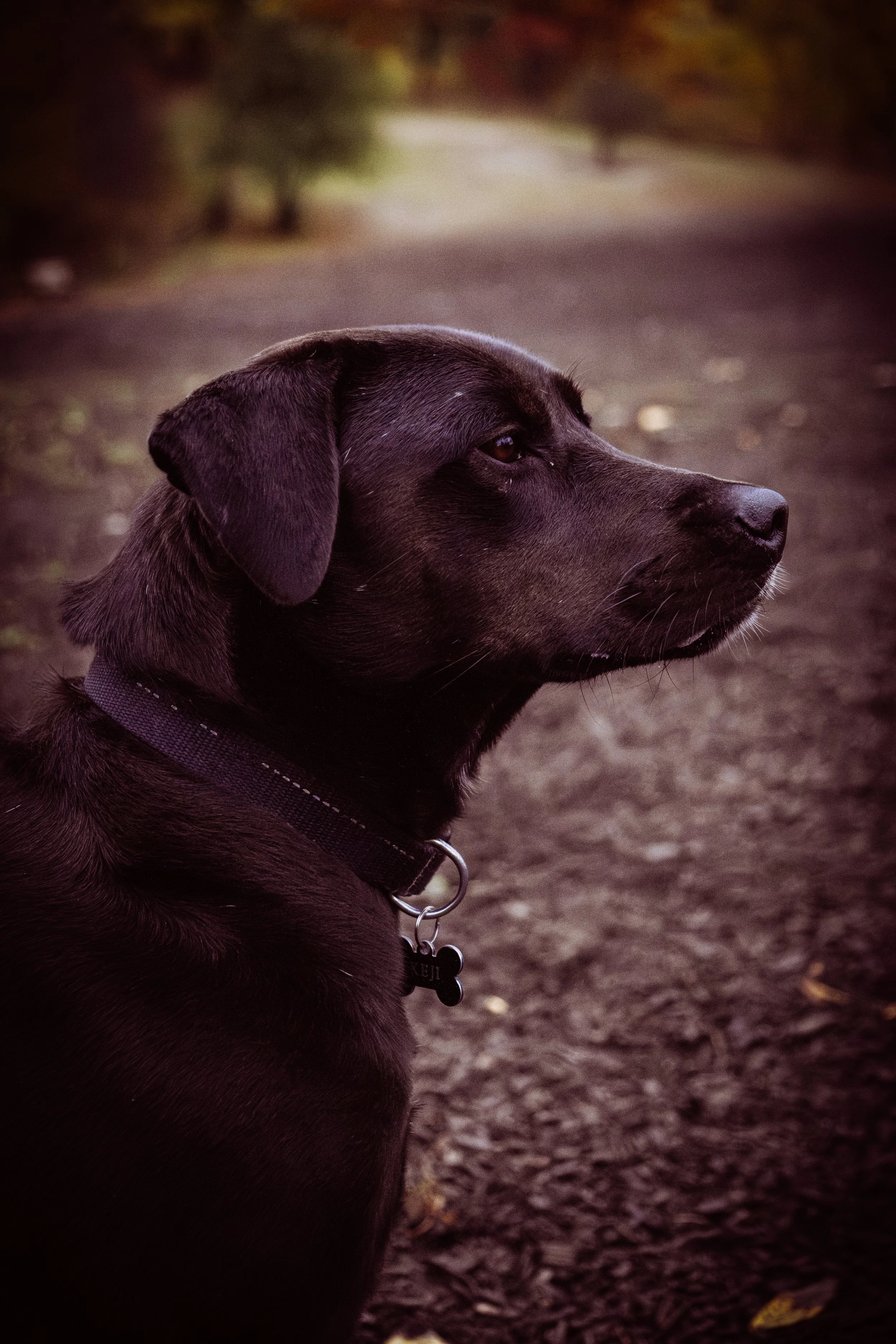 DSCF6211.jpg