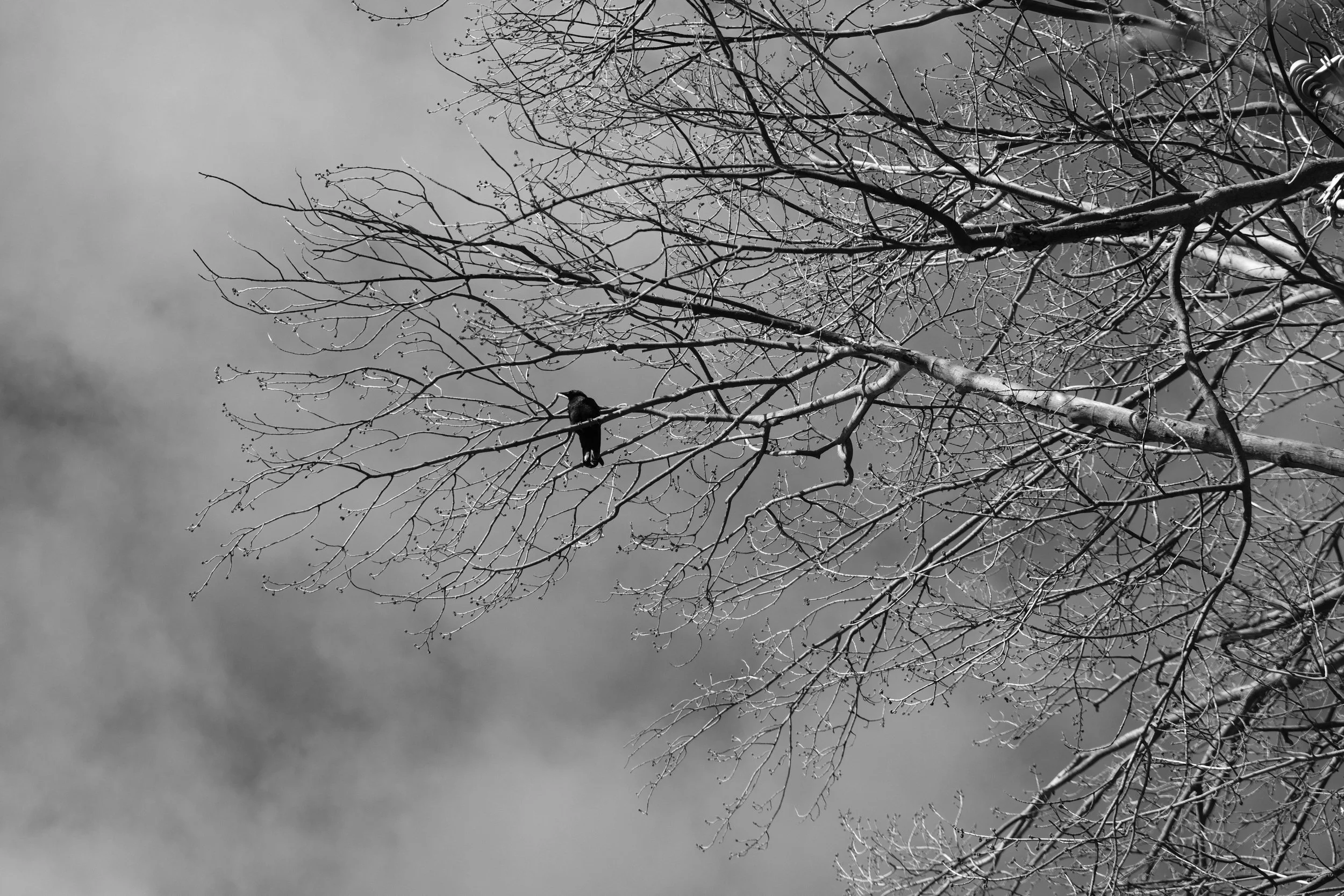 DSCF0317.JPG