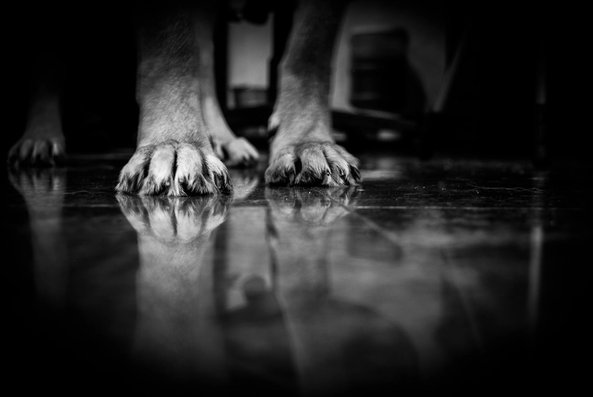DSC_0925.jpg