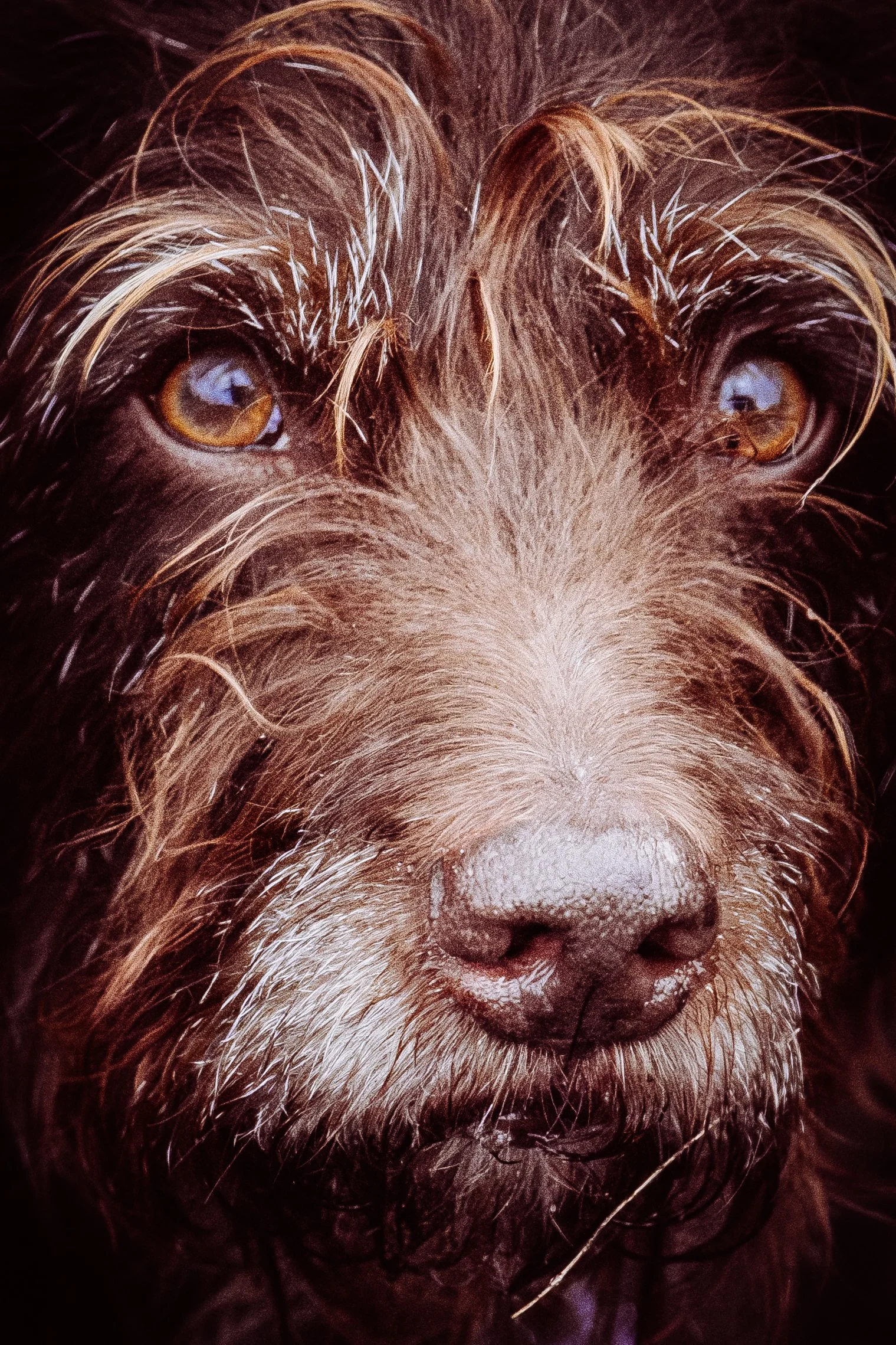 DSCF6193.jpg