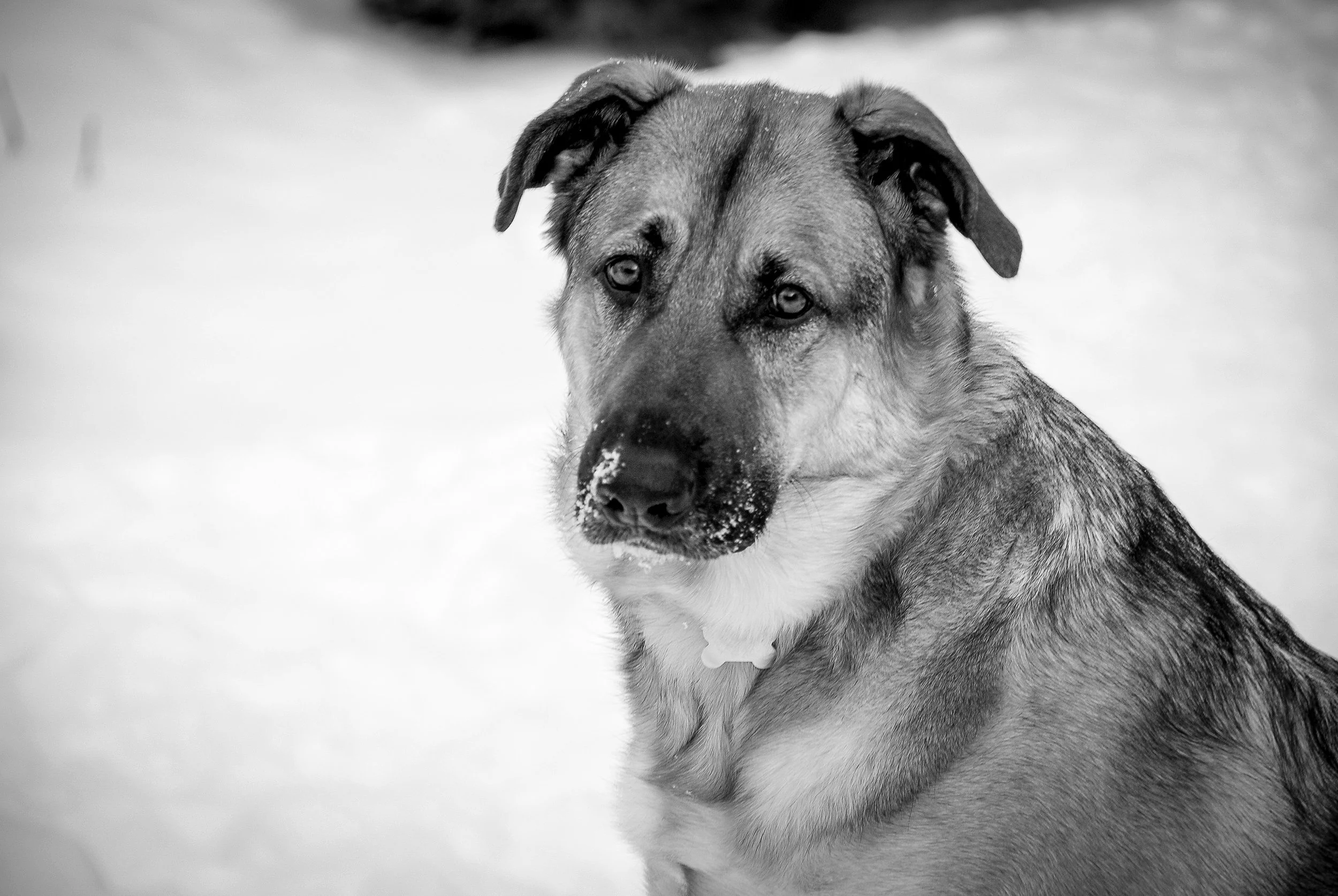DSC_0395.jpg