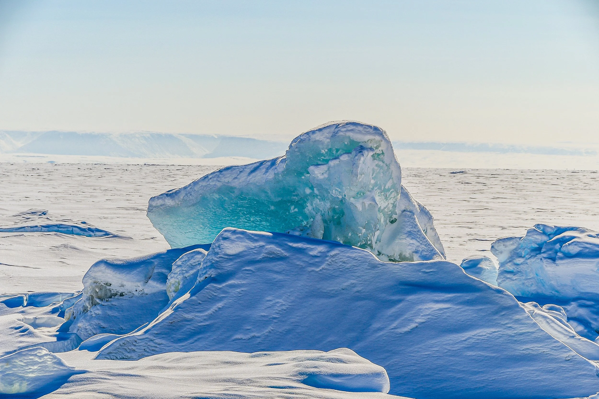 DSC_2797.jpg